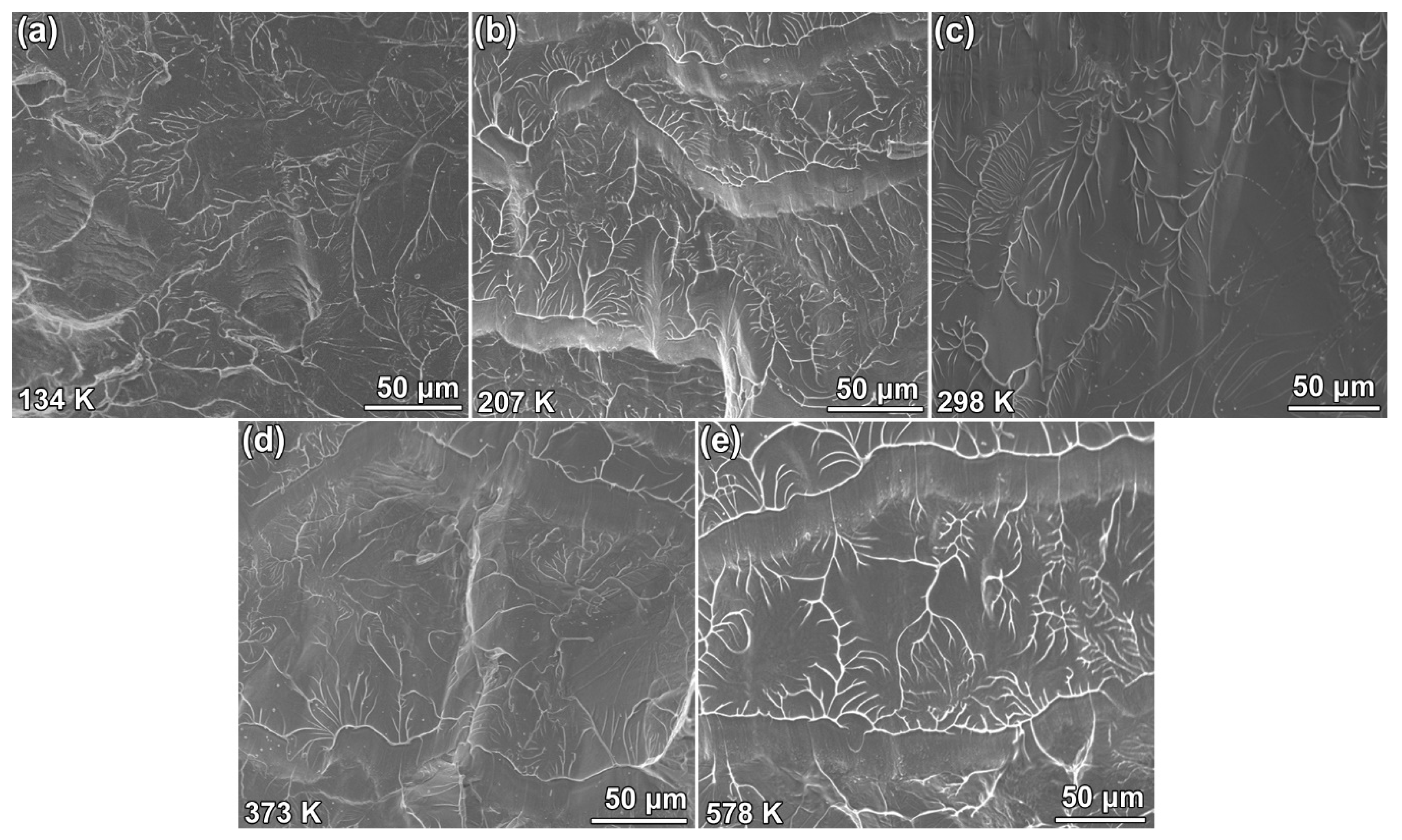 Materials 13 02391 g004