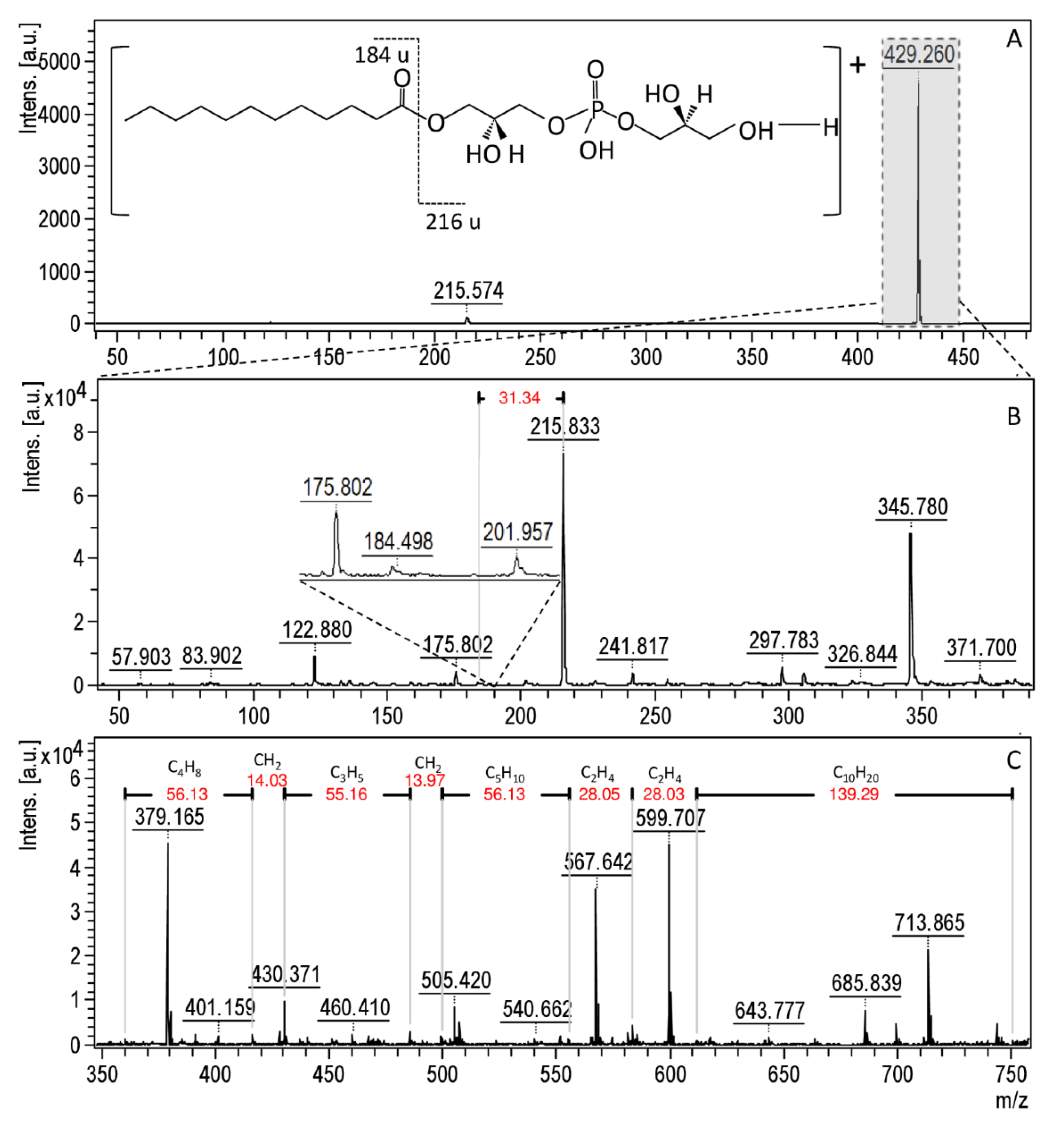 Materials 13 02403 g007