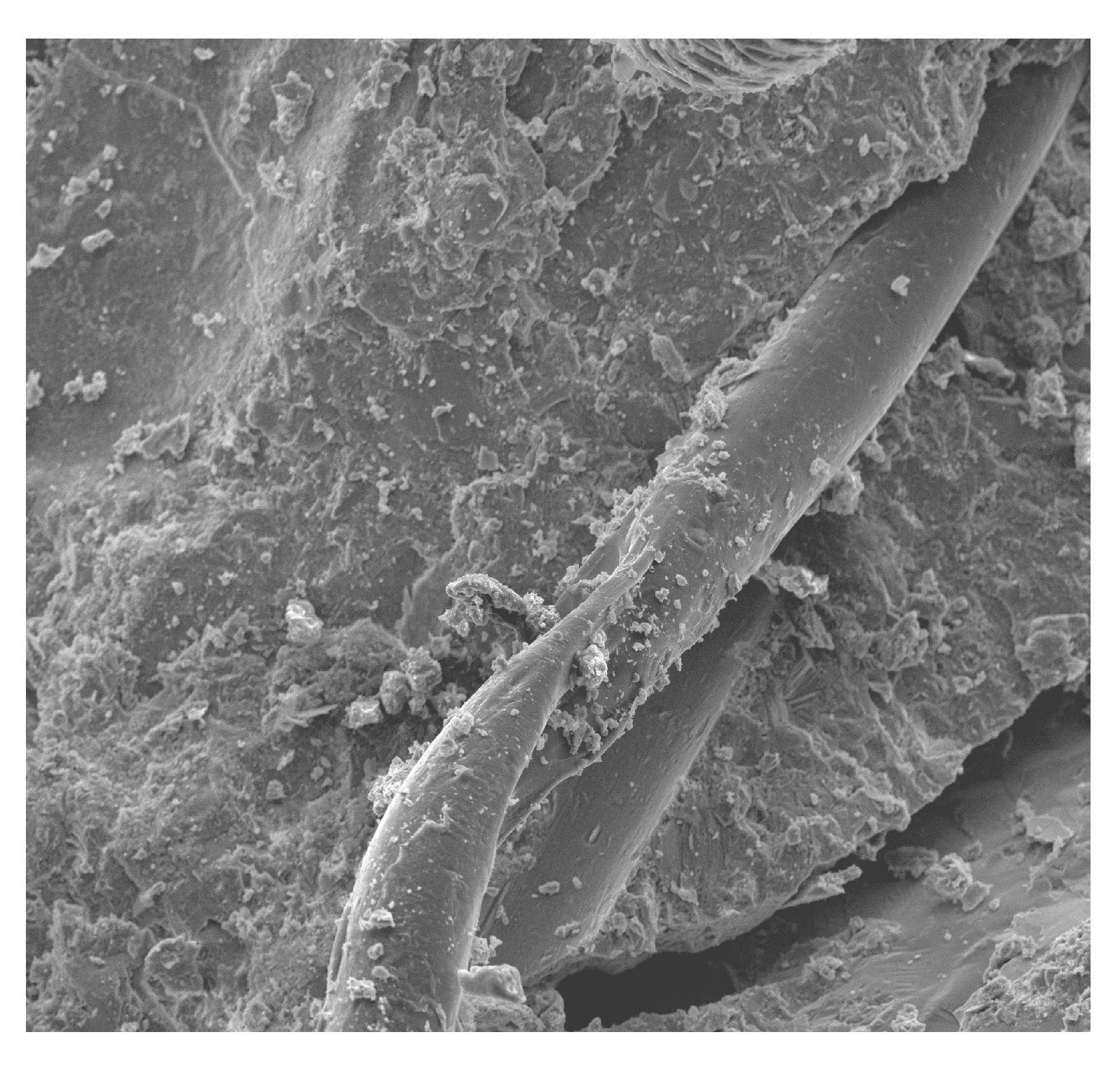 Materials 13 02414 g012