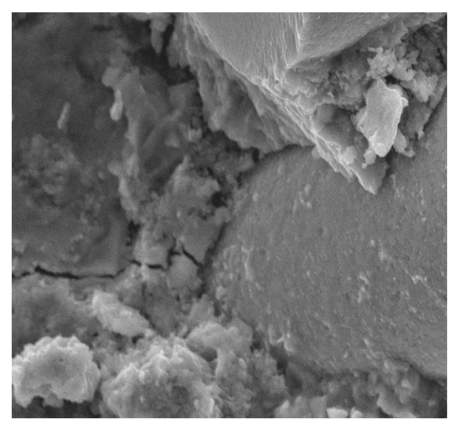 Materials 13 02414 g014