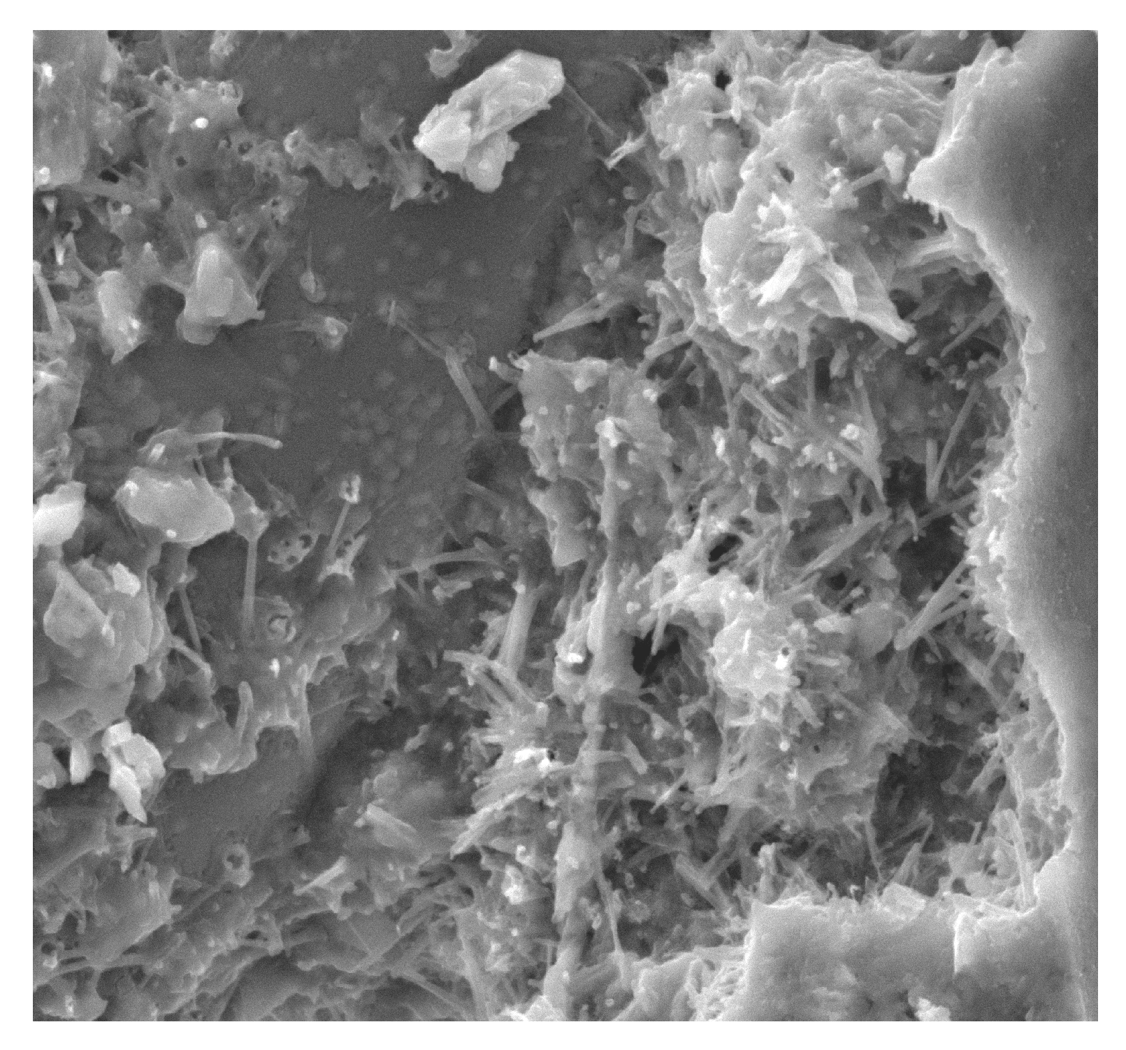 Materials 13 02414 g015