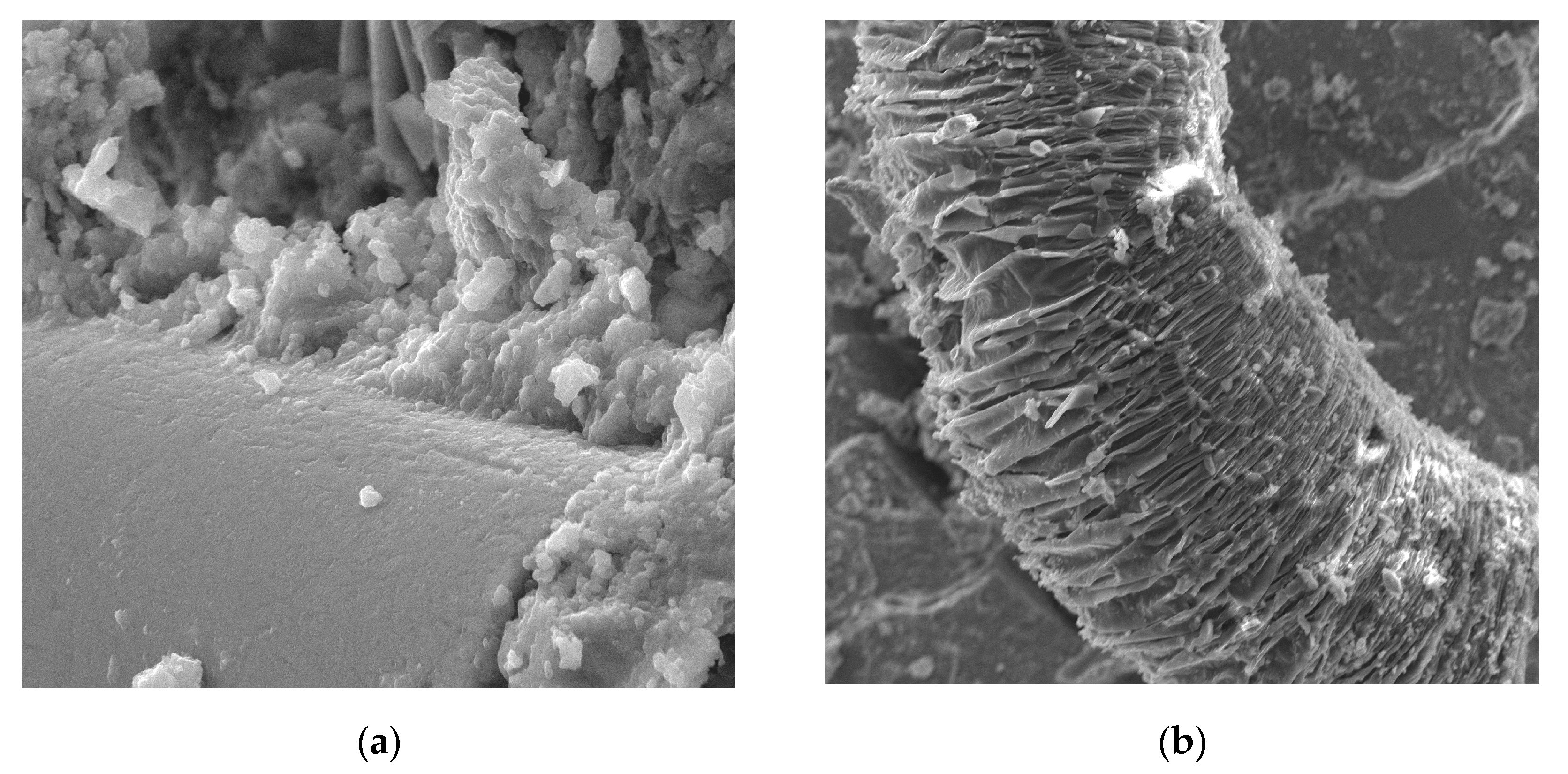 Materials 13 02414 g017