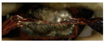 Materials 13 02429 i021 Materials 13 02429 i021