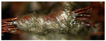 Materials 13 02429 i023 Materials 13 02429 i023