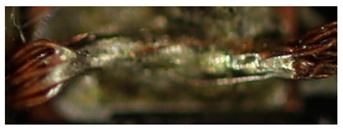 Materials 13 02429 i024 Materials 13 02429 i024