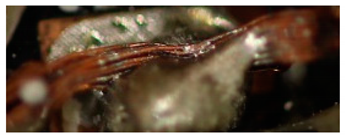 Materials 13 02429 i025 Materials 13 02429 i025