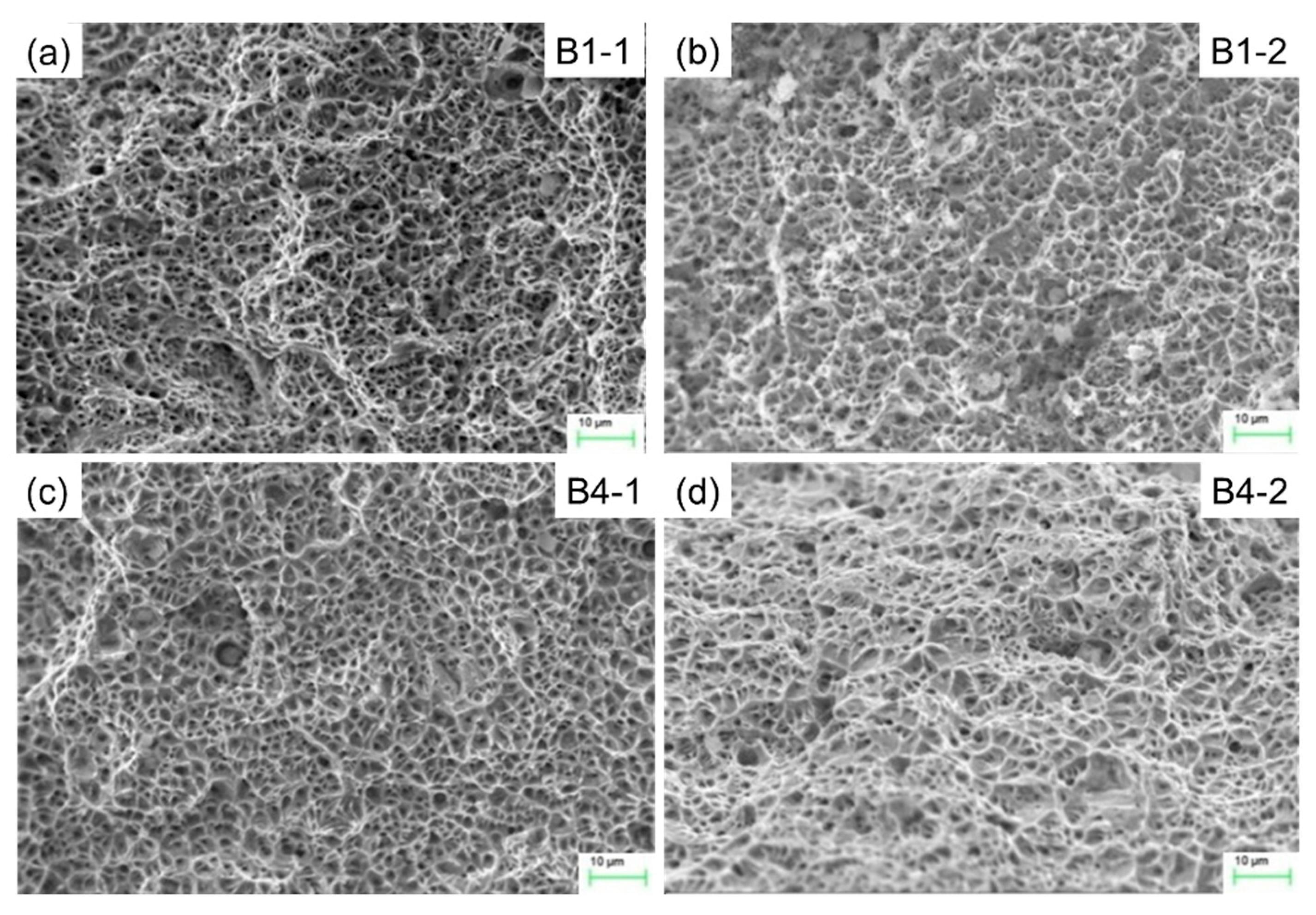 Materials 13 02434 g017