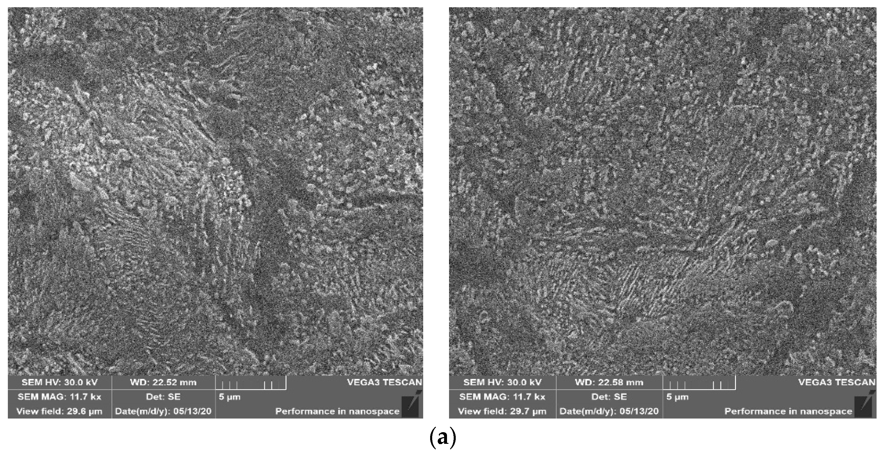 Materials 13 02441 g005a