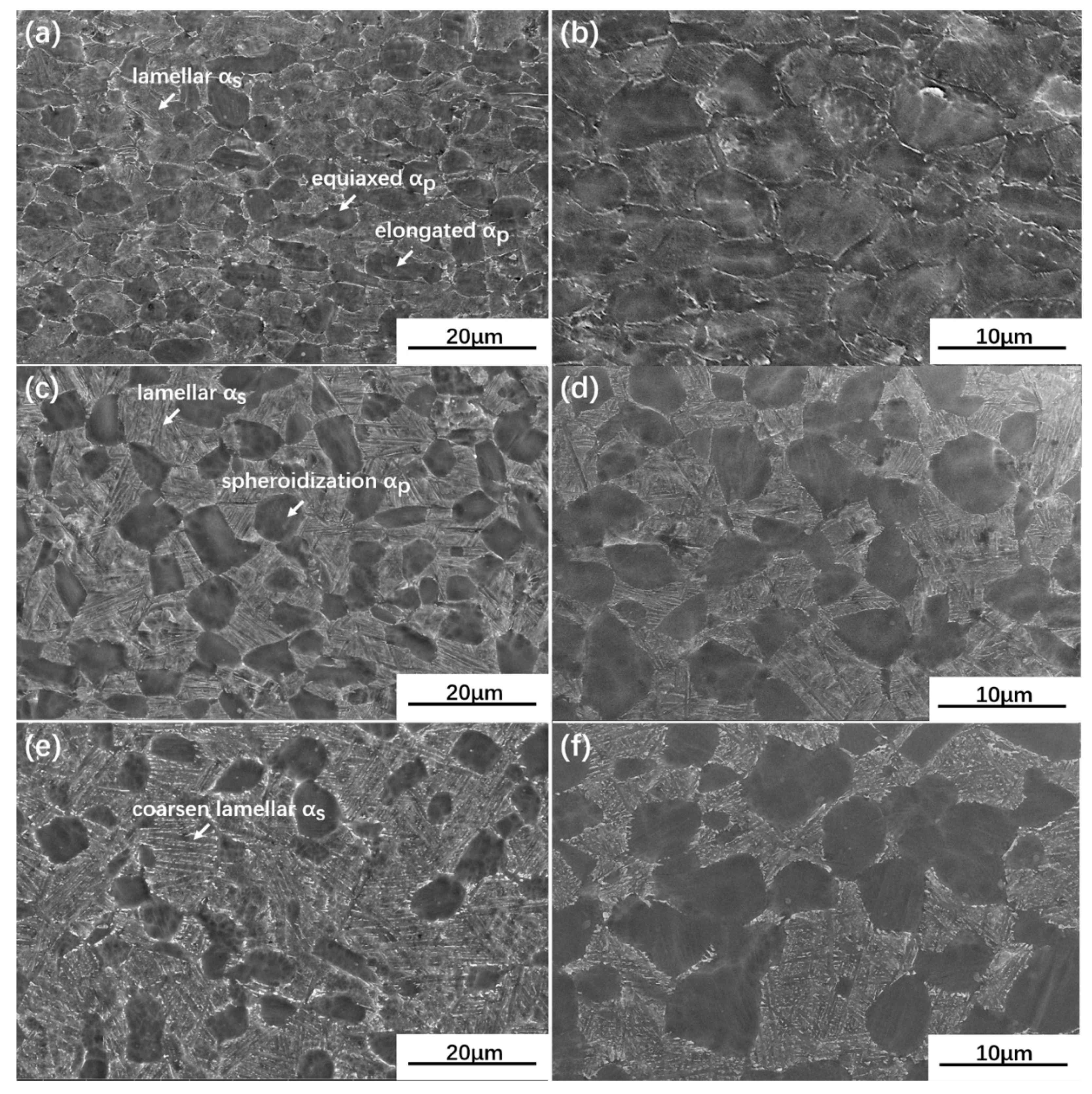 Materials 13 02466 g004