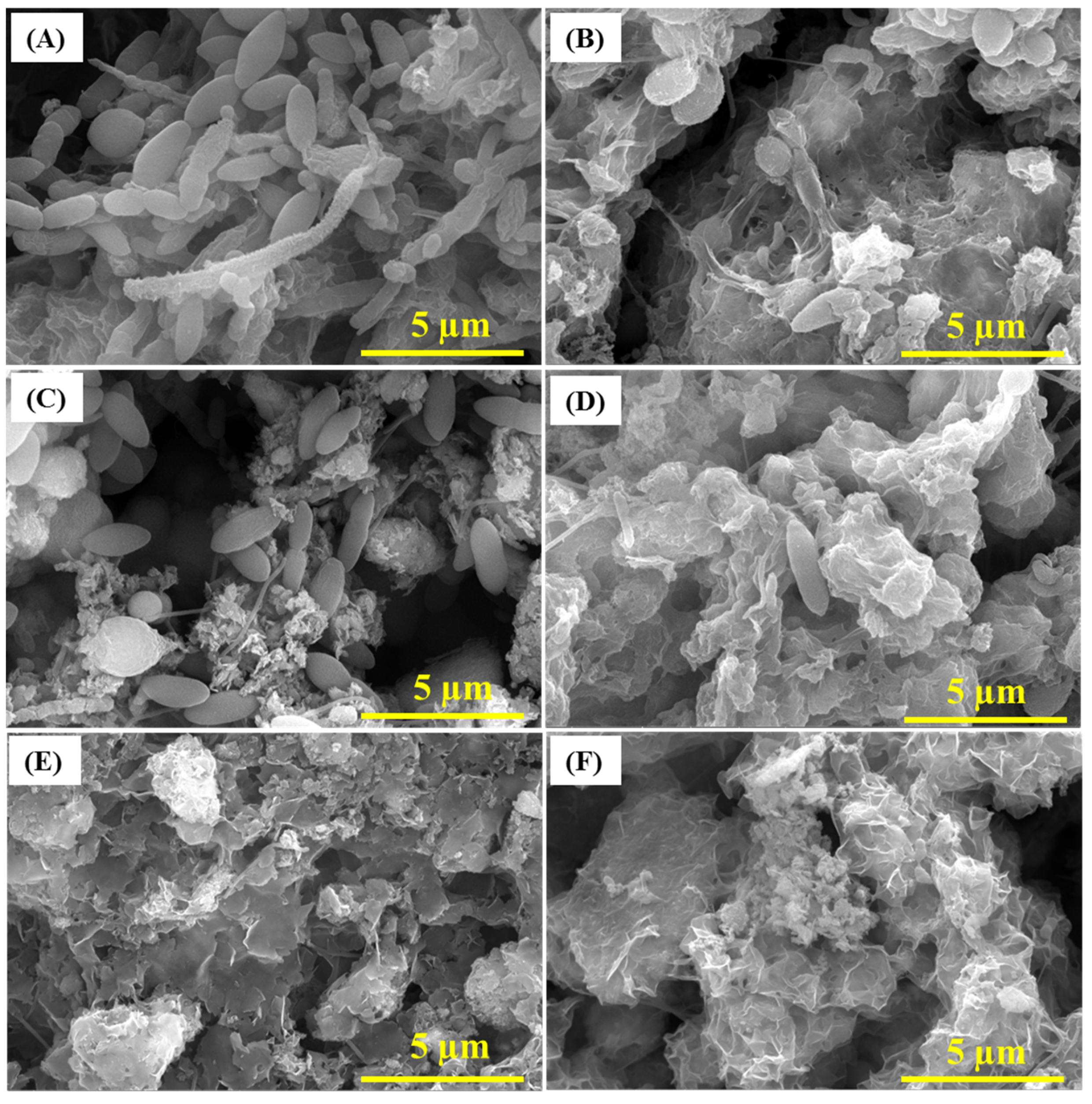 Materials 13 02484 g004