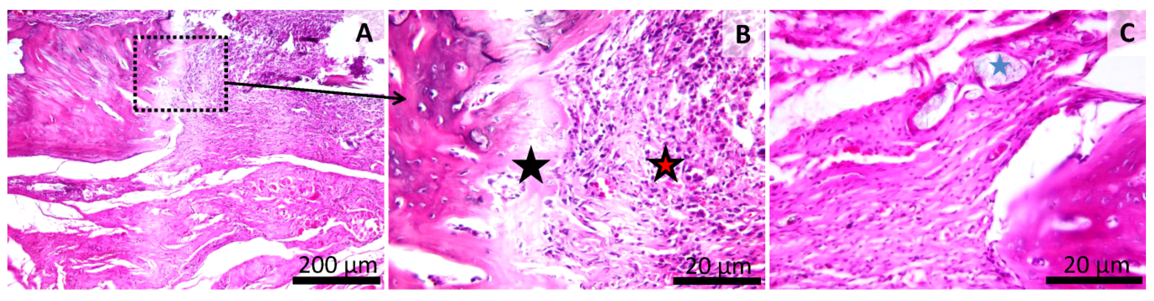 Materials 13 02511 g010