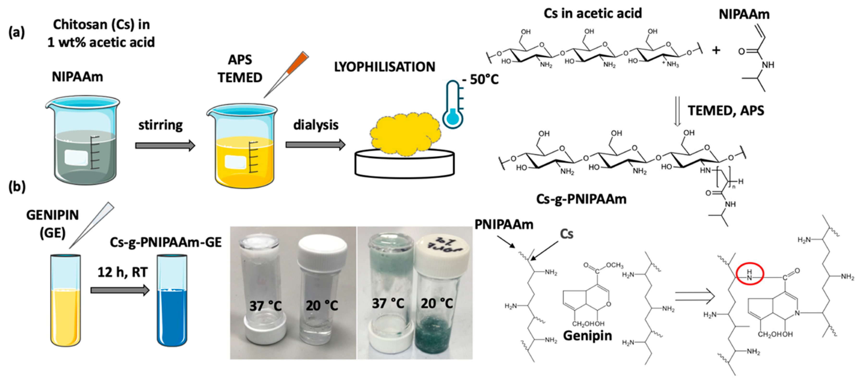 Materials 13 02530 g001