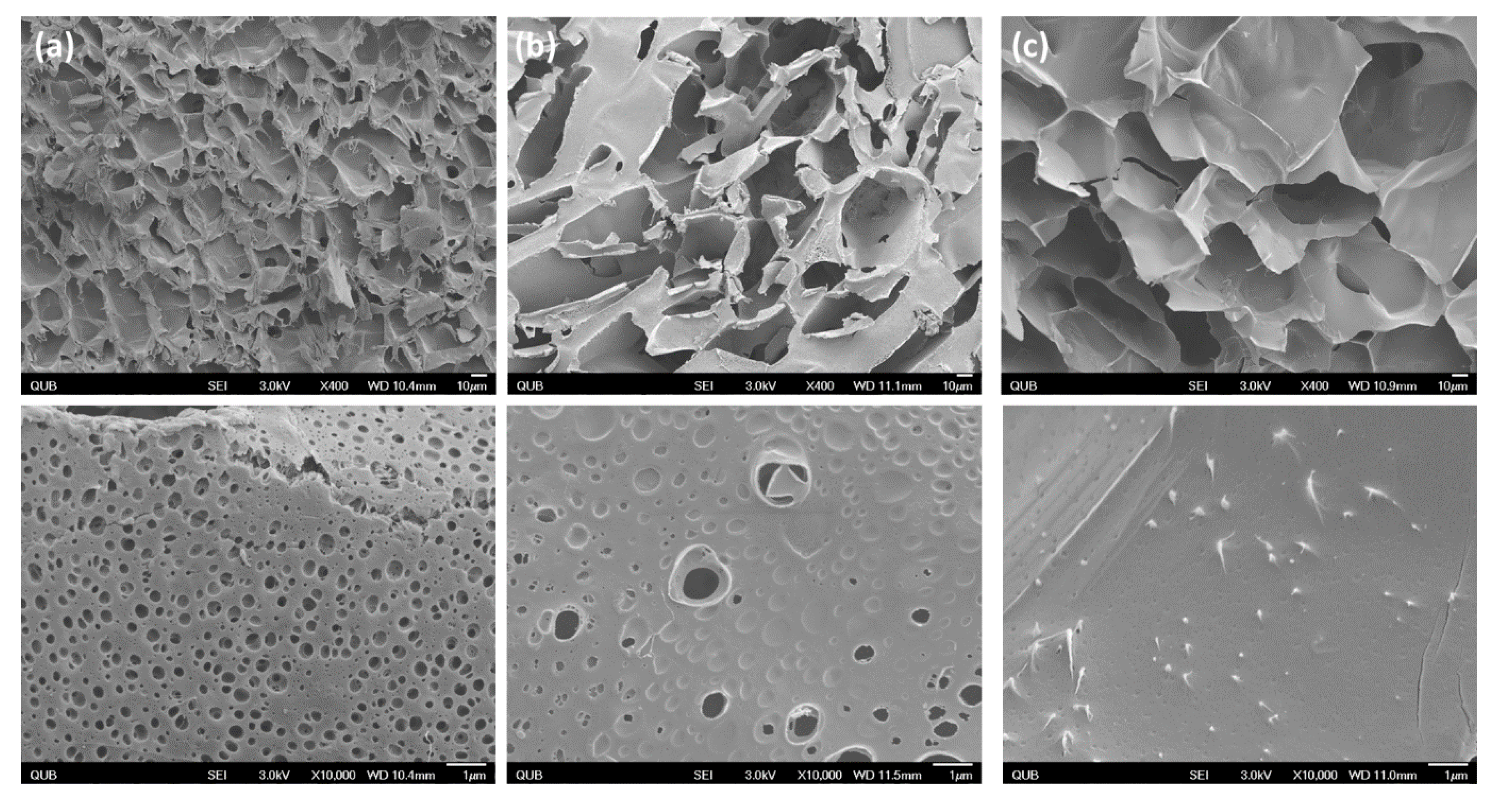 Materials 13 02530 g006