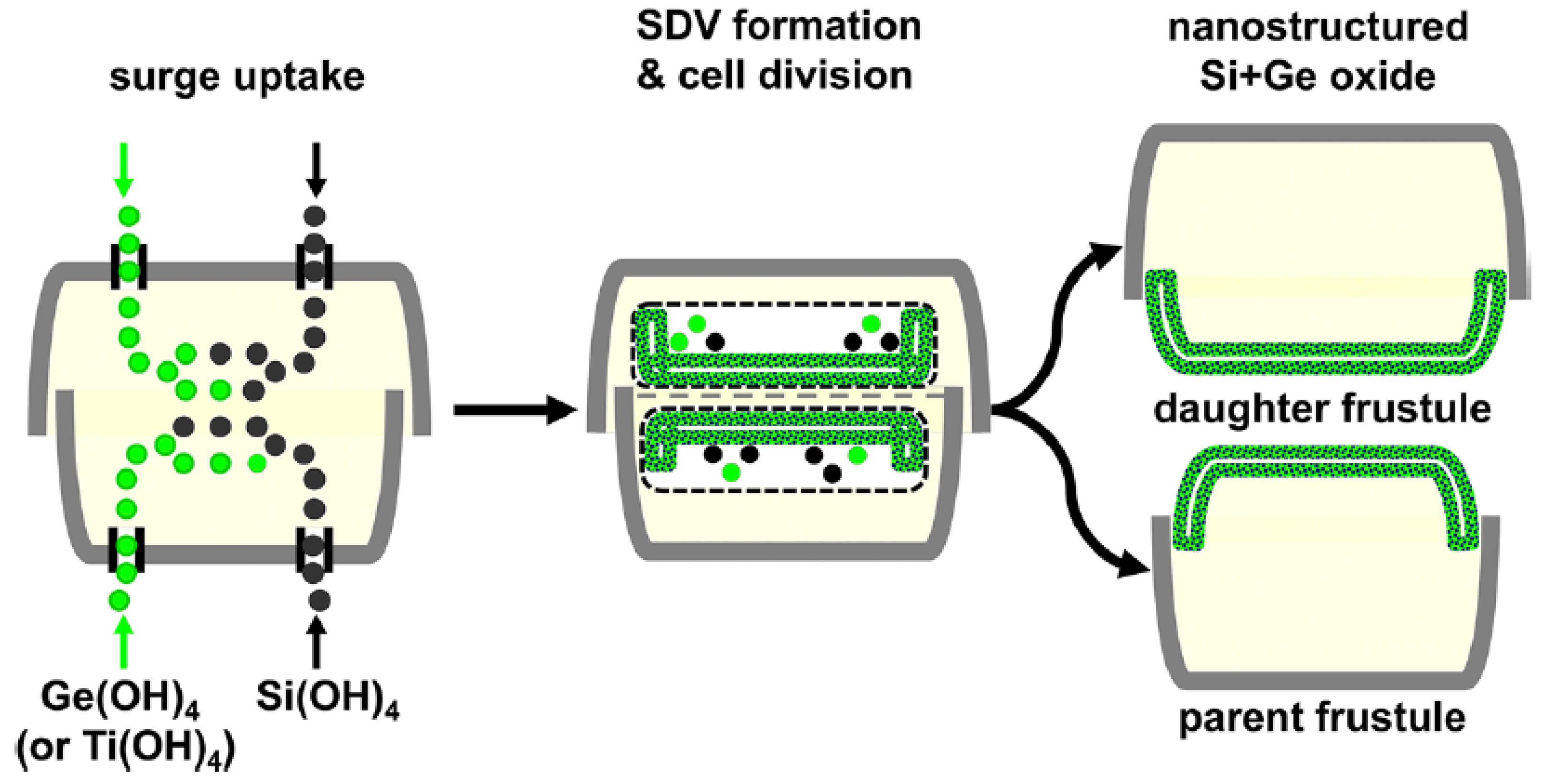 Materials 13 02576 g003