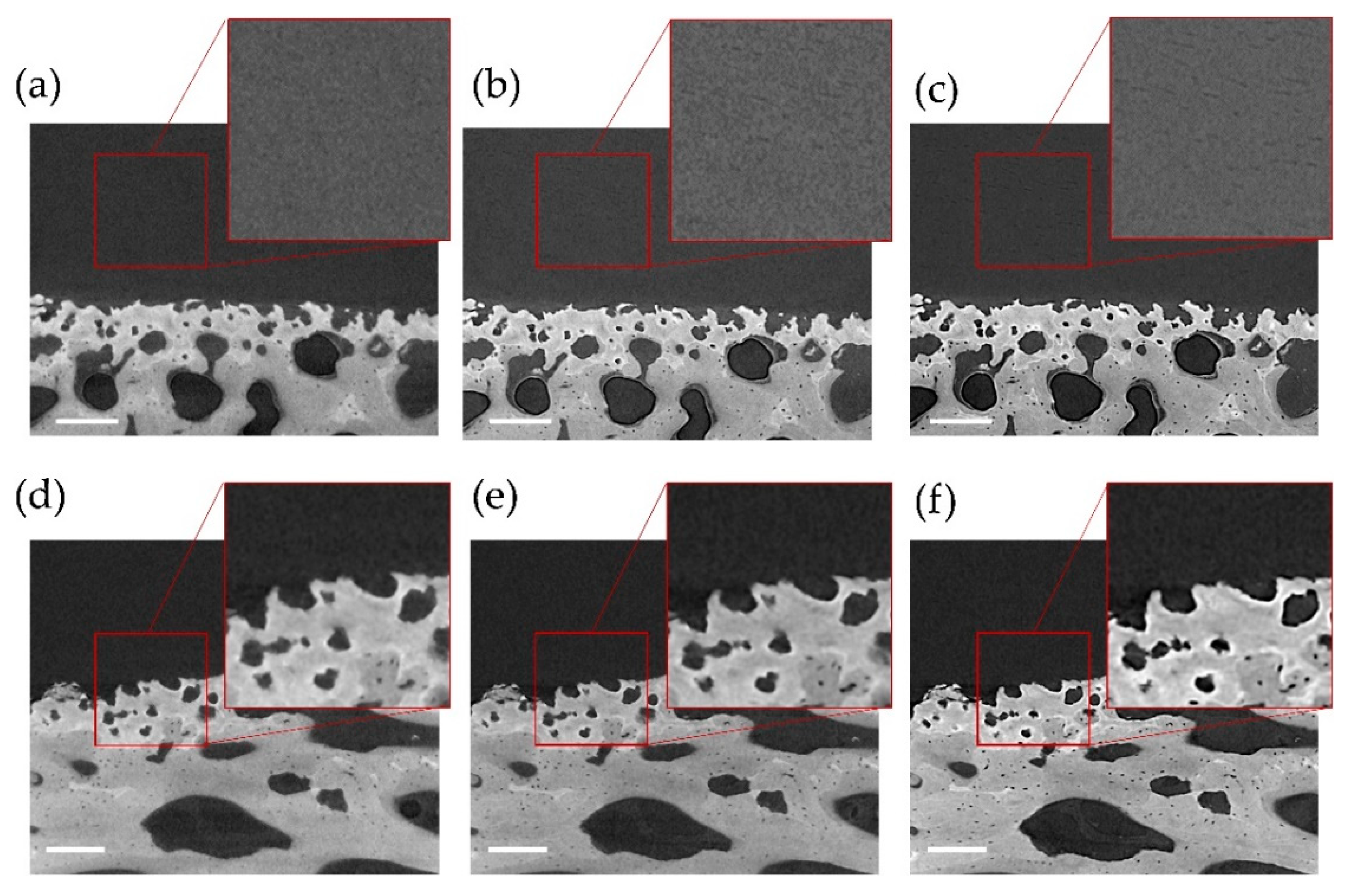 Materials 13 02579 g002