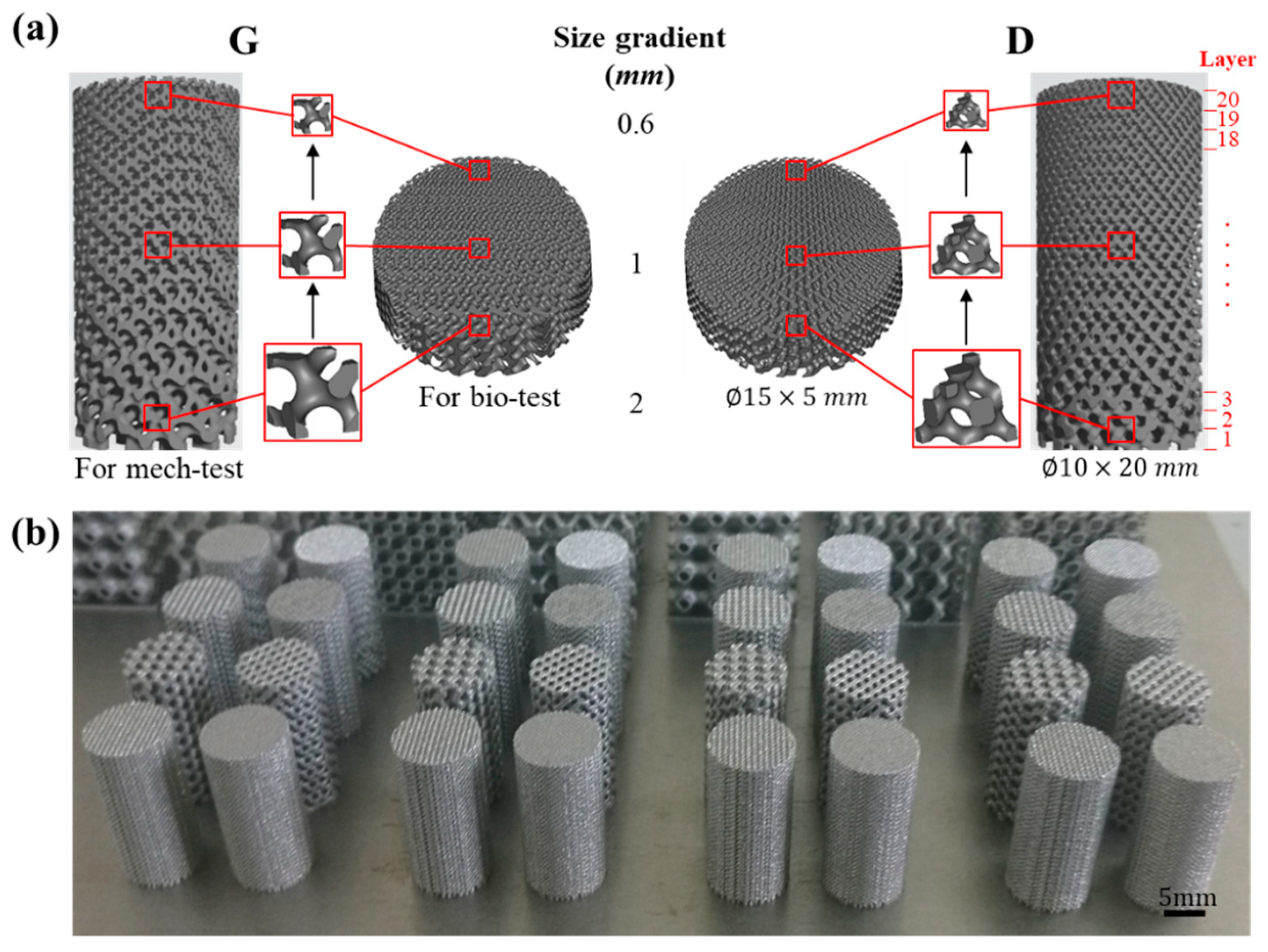 Materials 13 02589 g001