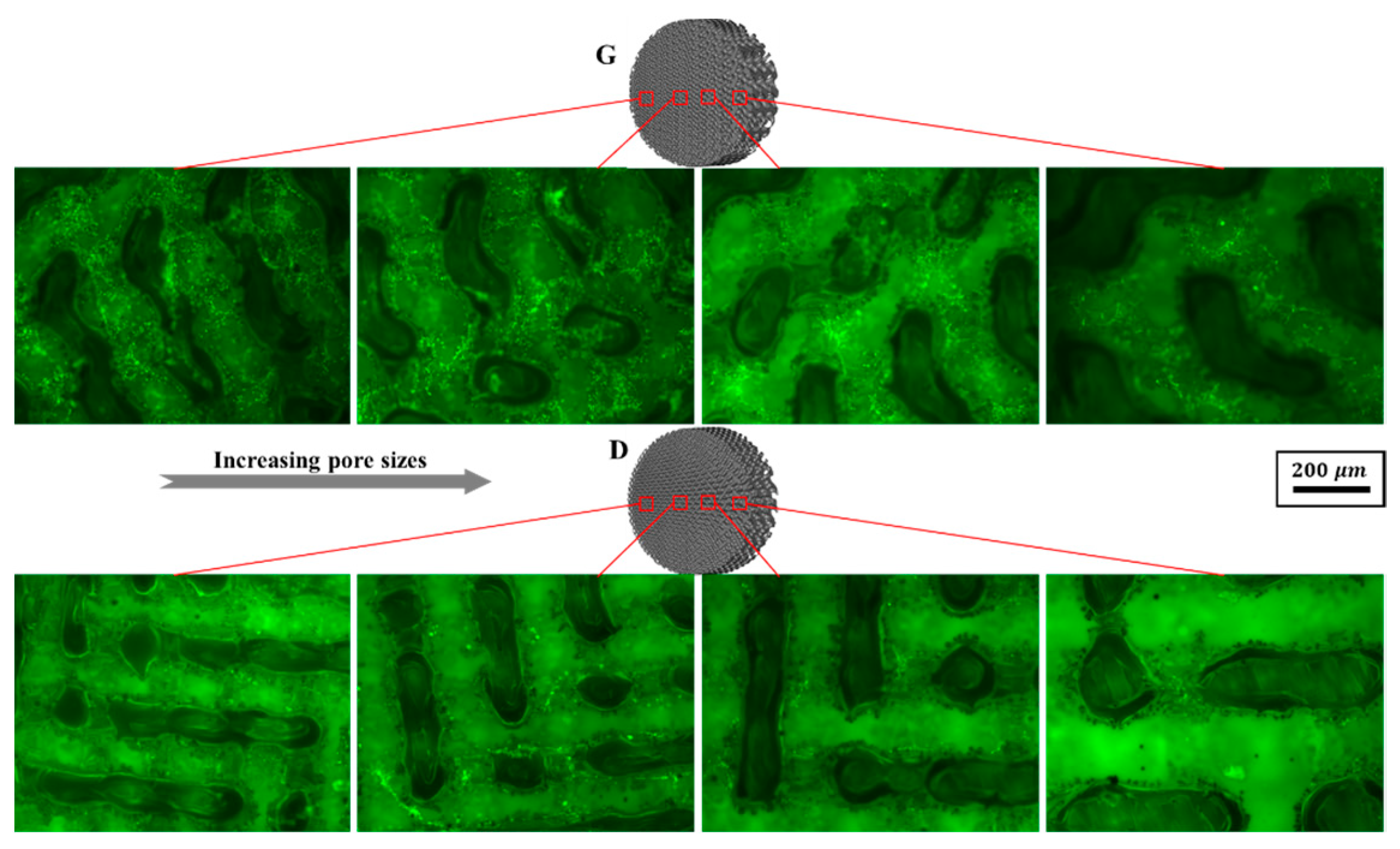Materials 13 02589 g016