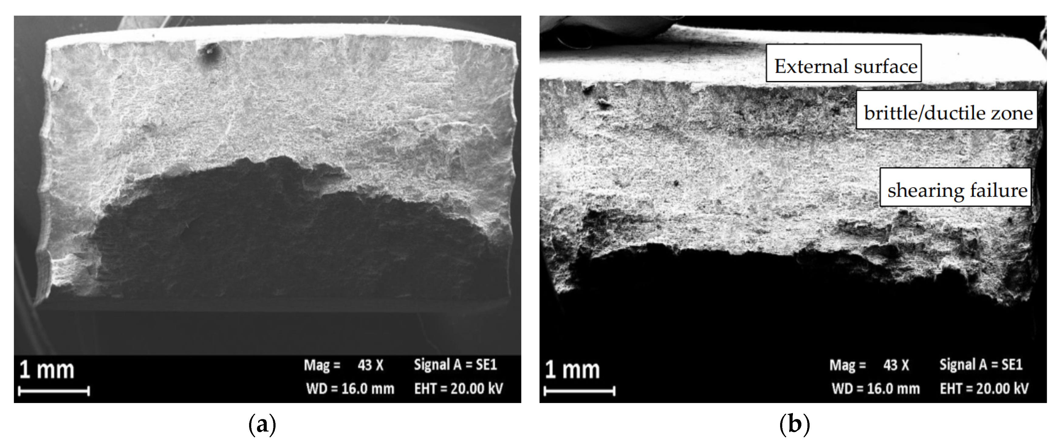 Materials 13 02600 g014