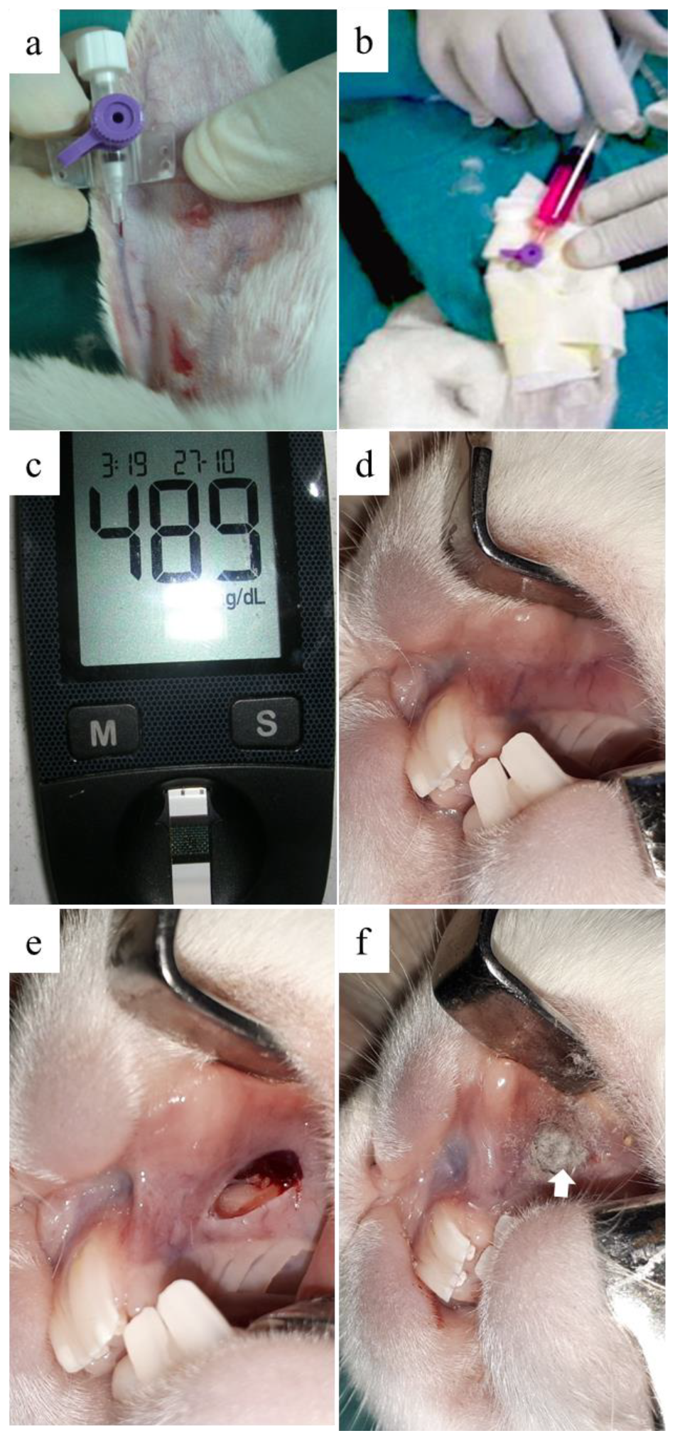 Materials 13 02603 g002