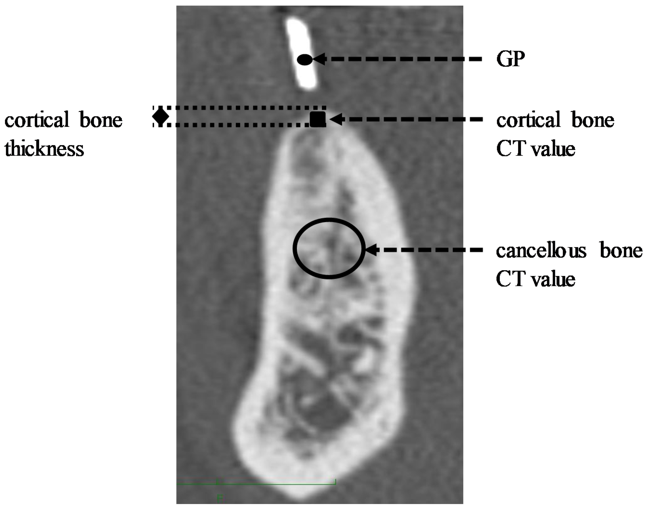 Materials 13 02605 g002