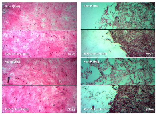 Materials 13 02607 g003a Materials 13 02607 g003a