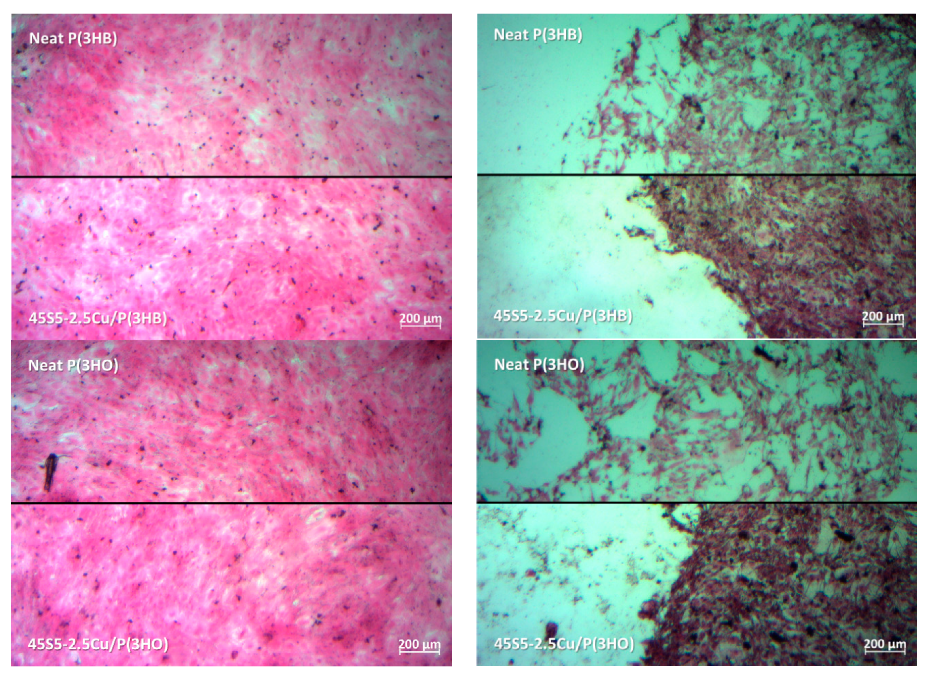 Materials 13 02607 g003a Materials 13 02607 g003a