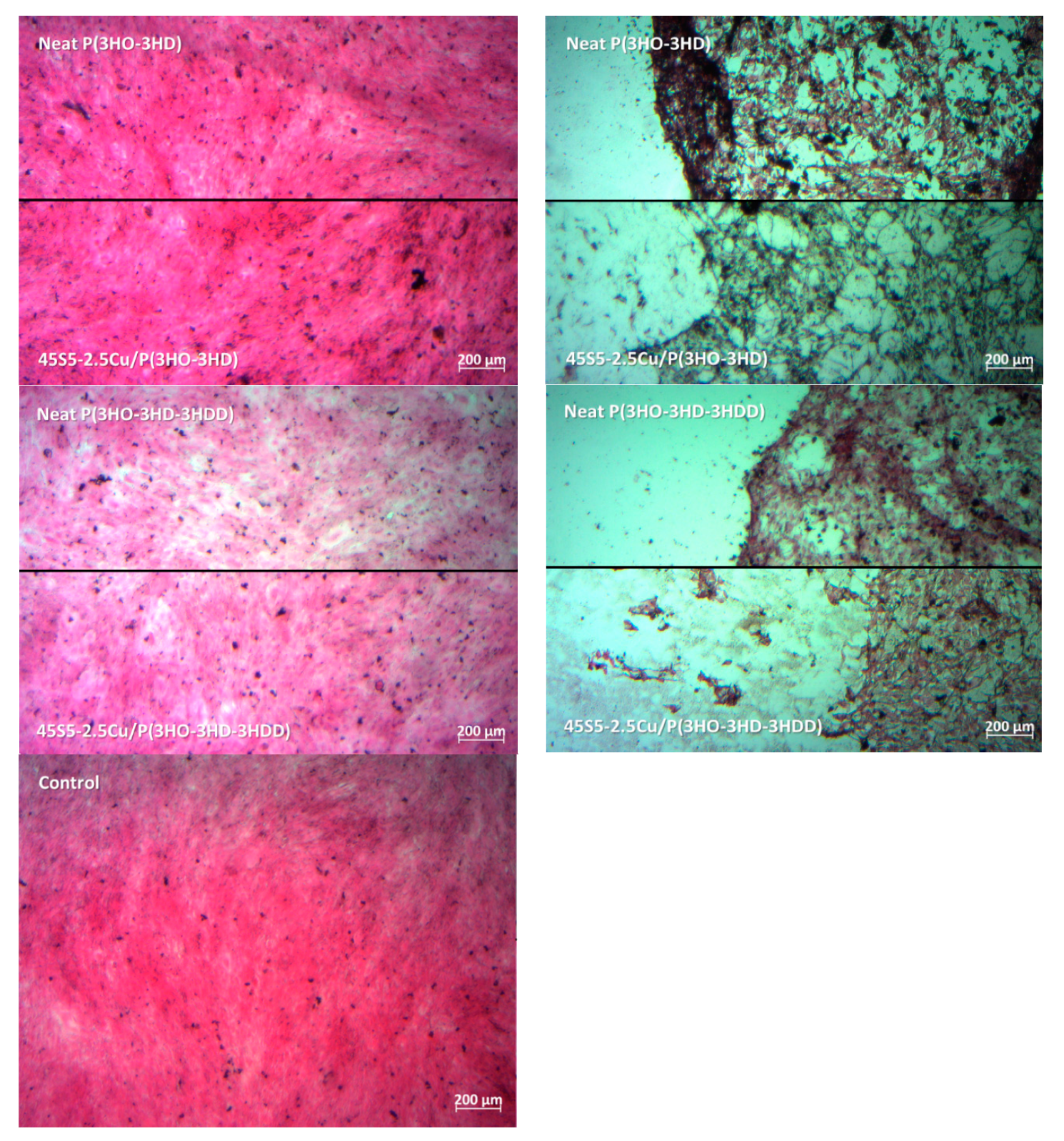 Materials 13 02607 g003b Materials 13 02607 g003b