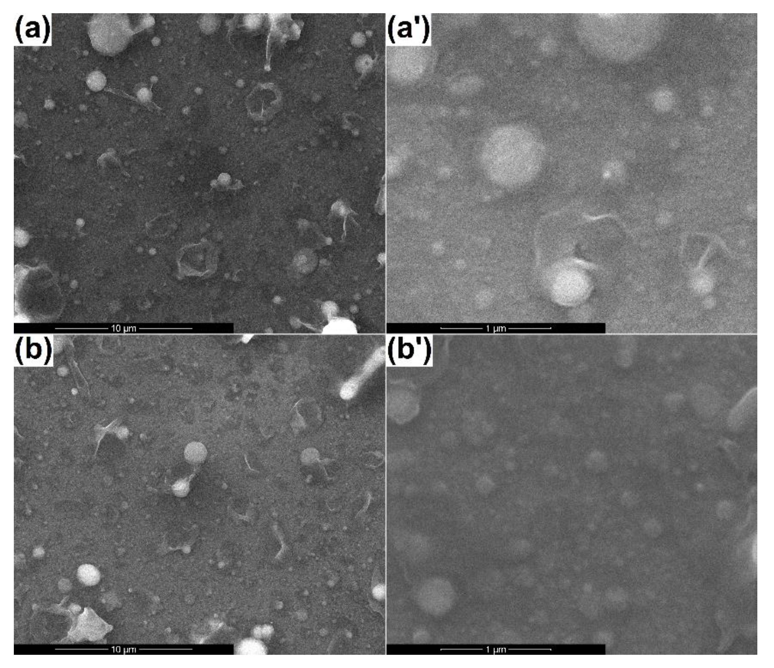 Materials 13 02615 g004 Materials 13 02615 g004
