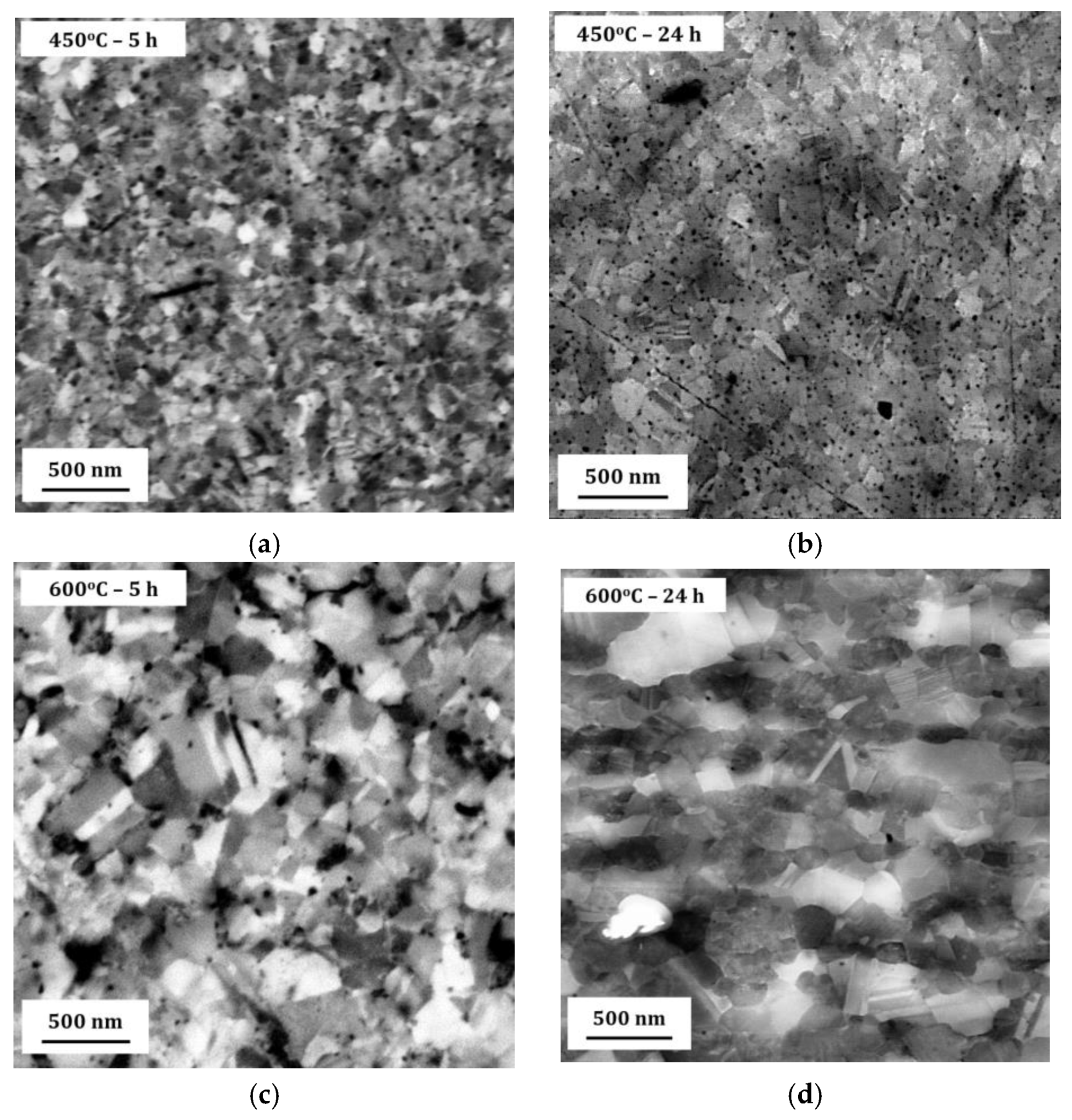 Materials 13 02616 g004