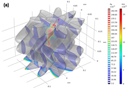 Materials 13 02619 i008