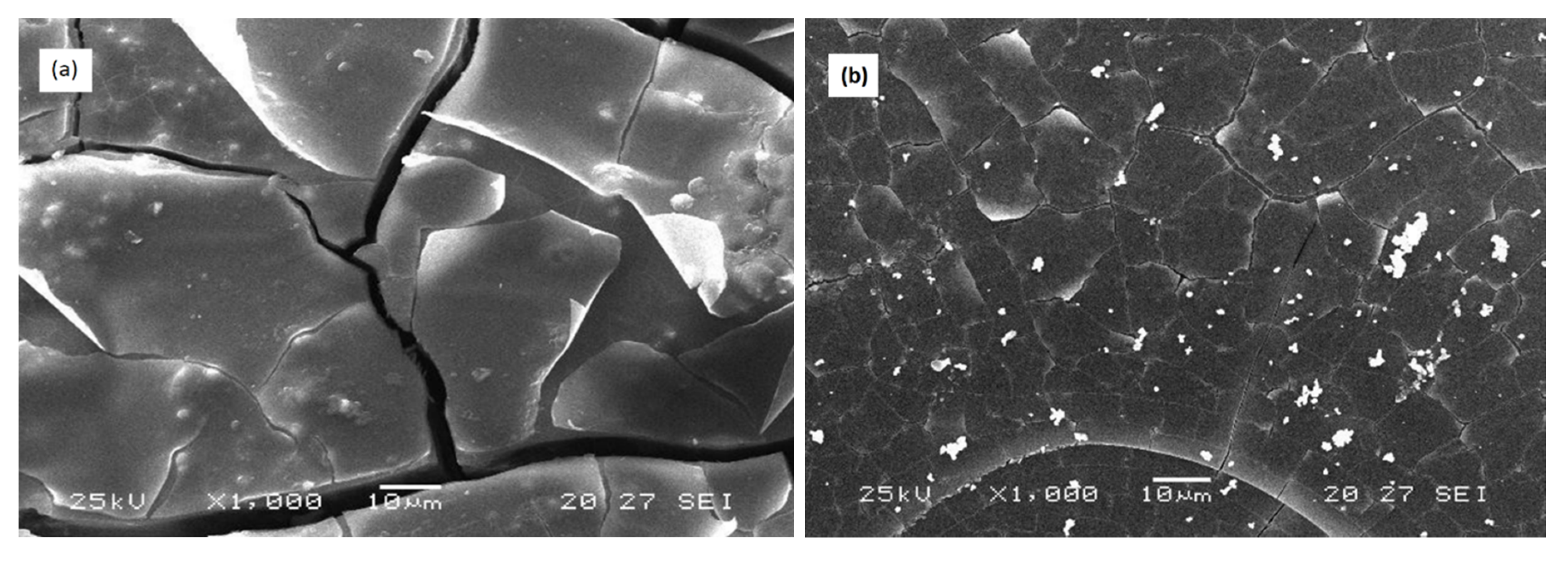 Materials 13 02637 g010