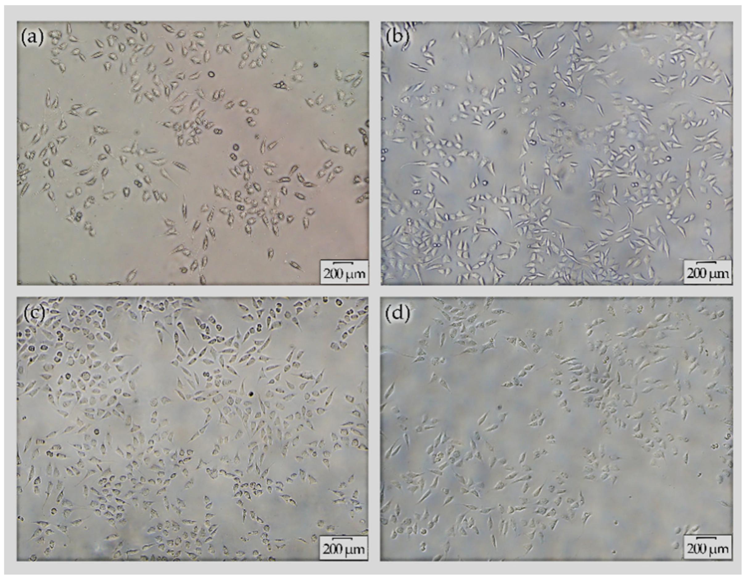 Materials 13 02647 g009