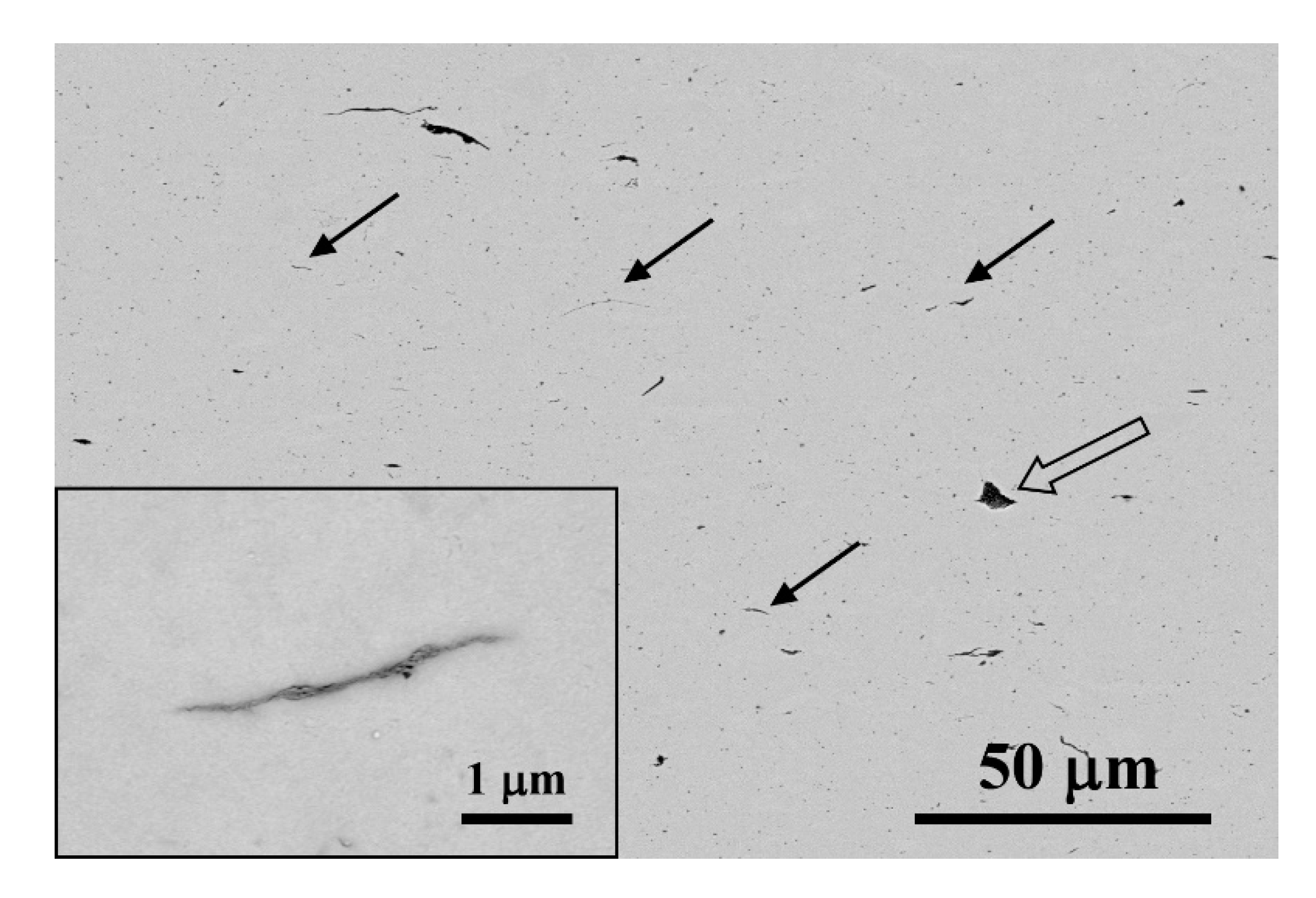 Materials 13 02656 g005