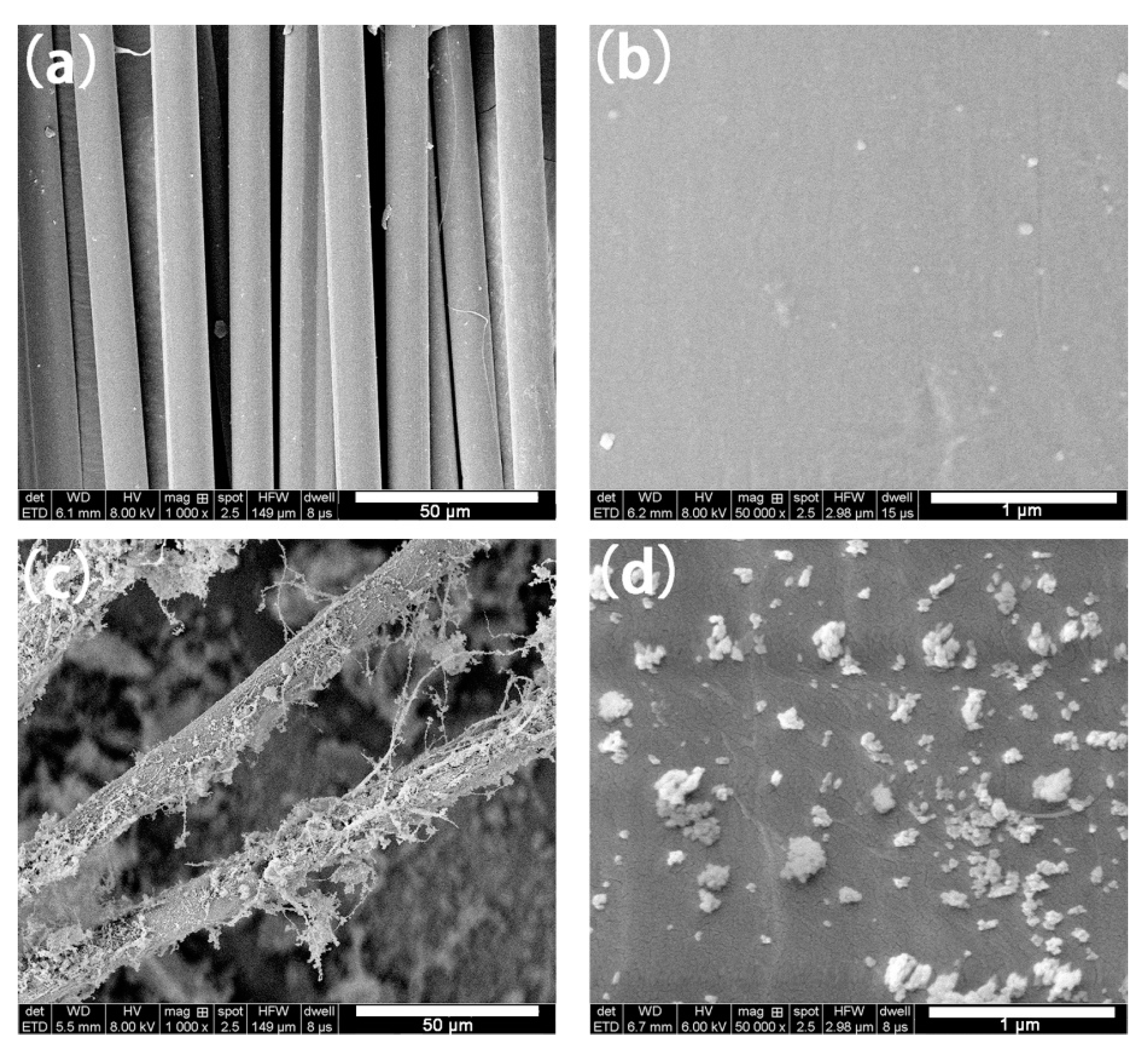 Materials 13 02665 g005