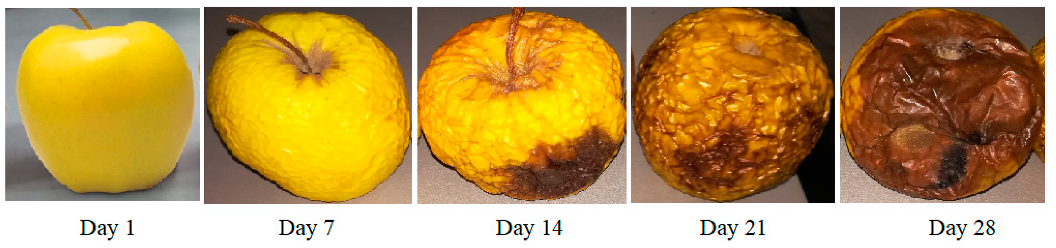 Materials 13 02694 g002