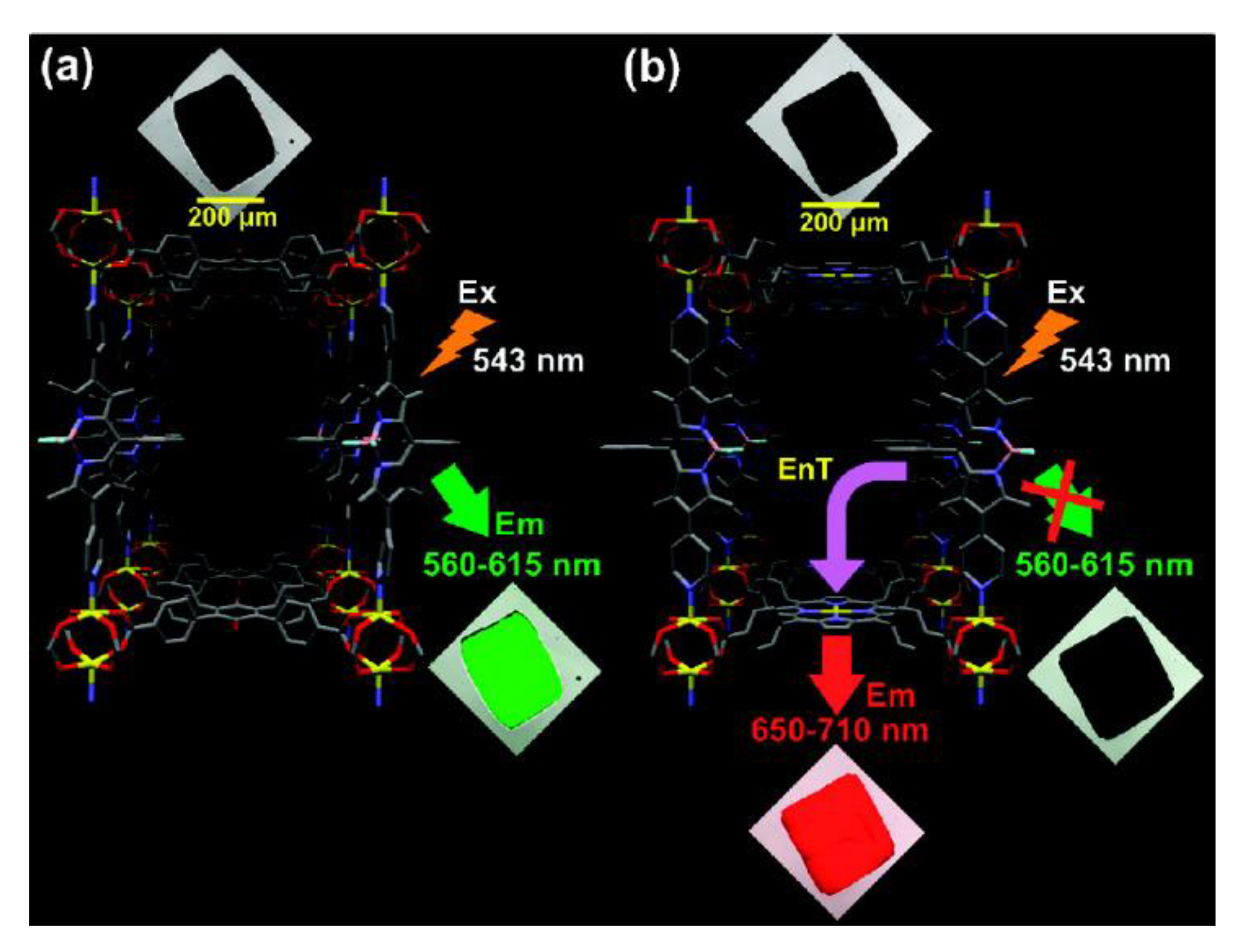Materials 13 02699 g010