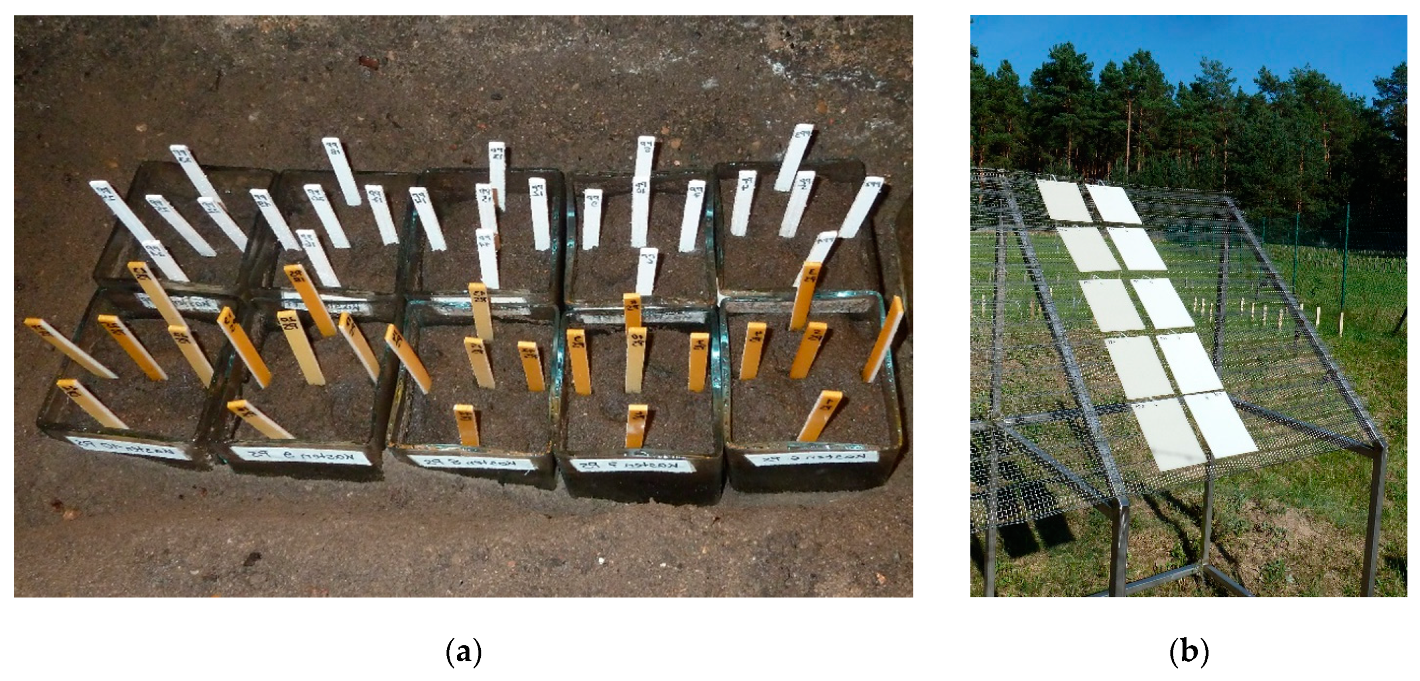 Materials 13 02709 g007