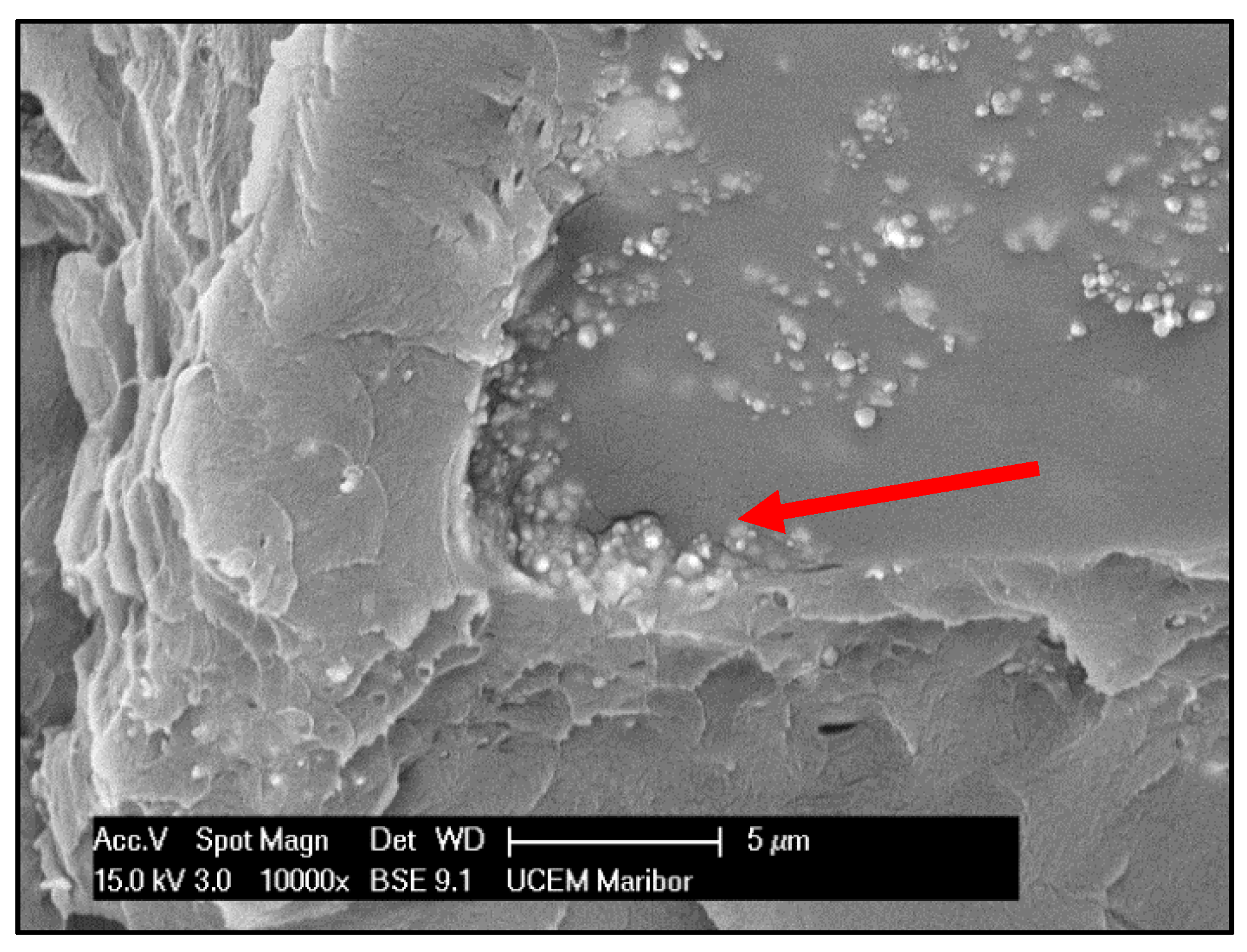 Materials 13 02717 g003