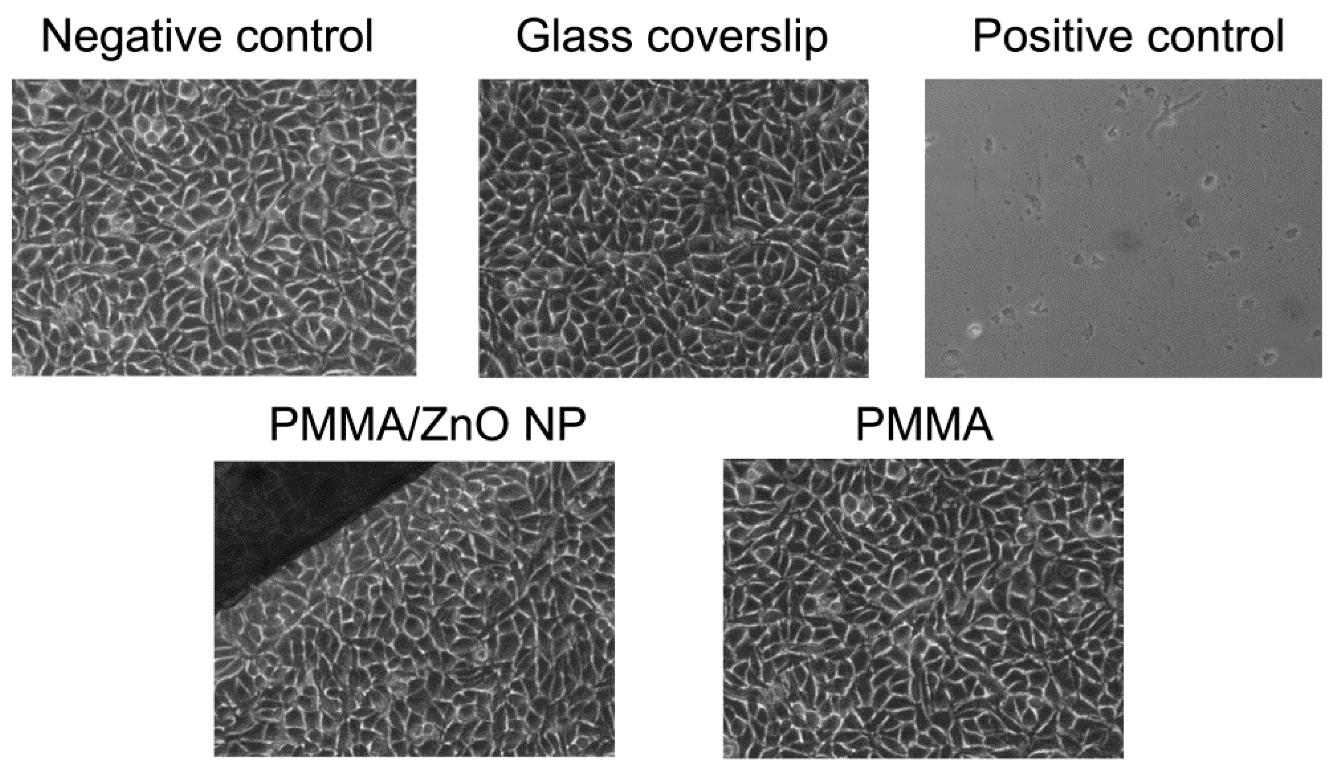 Materials 13 02717 g007
