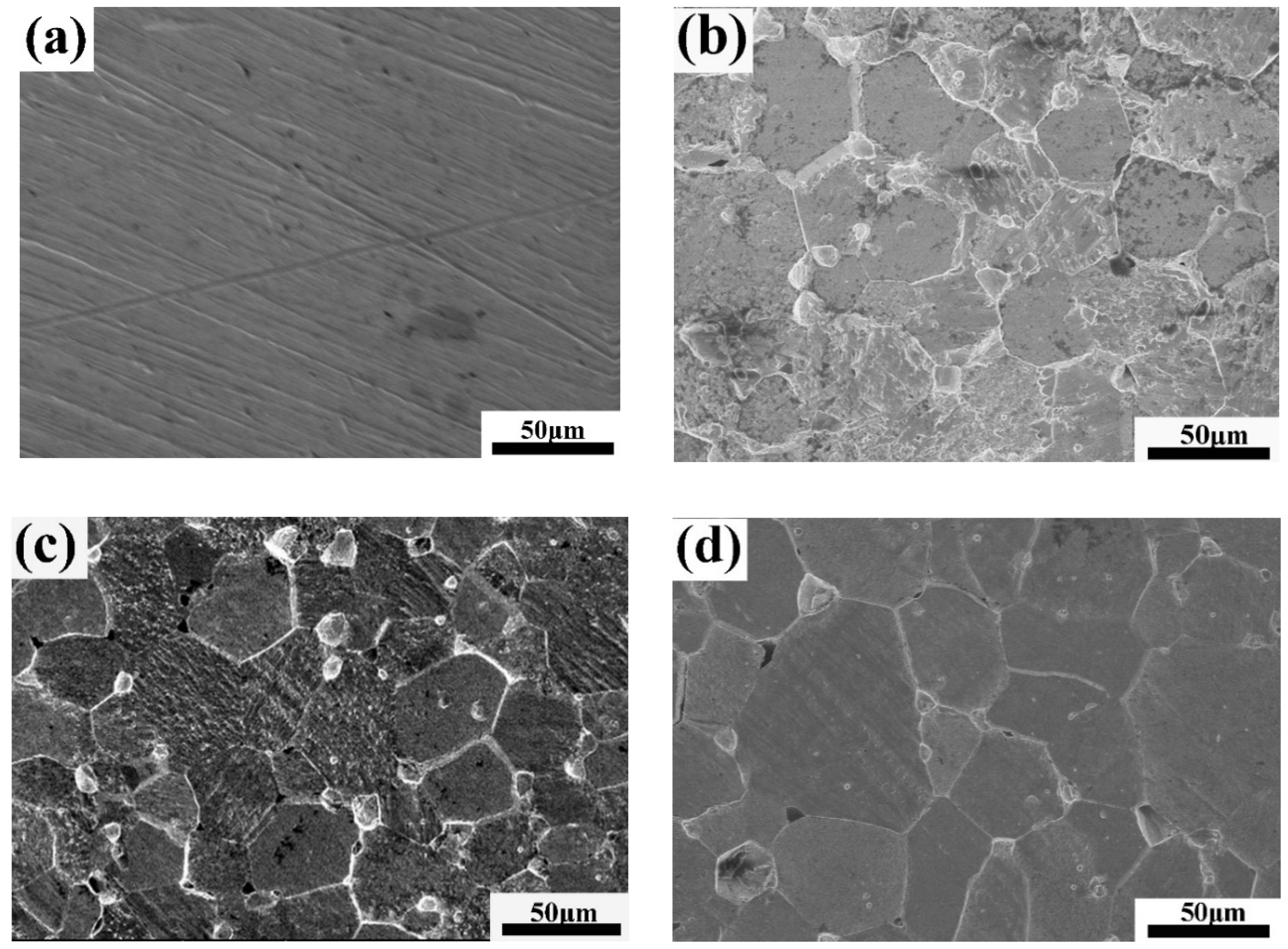 Materials 13 02719 g006a