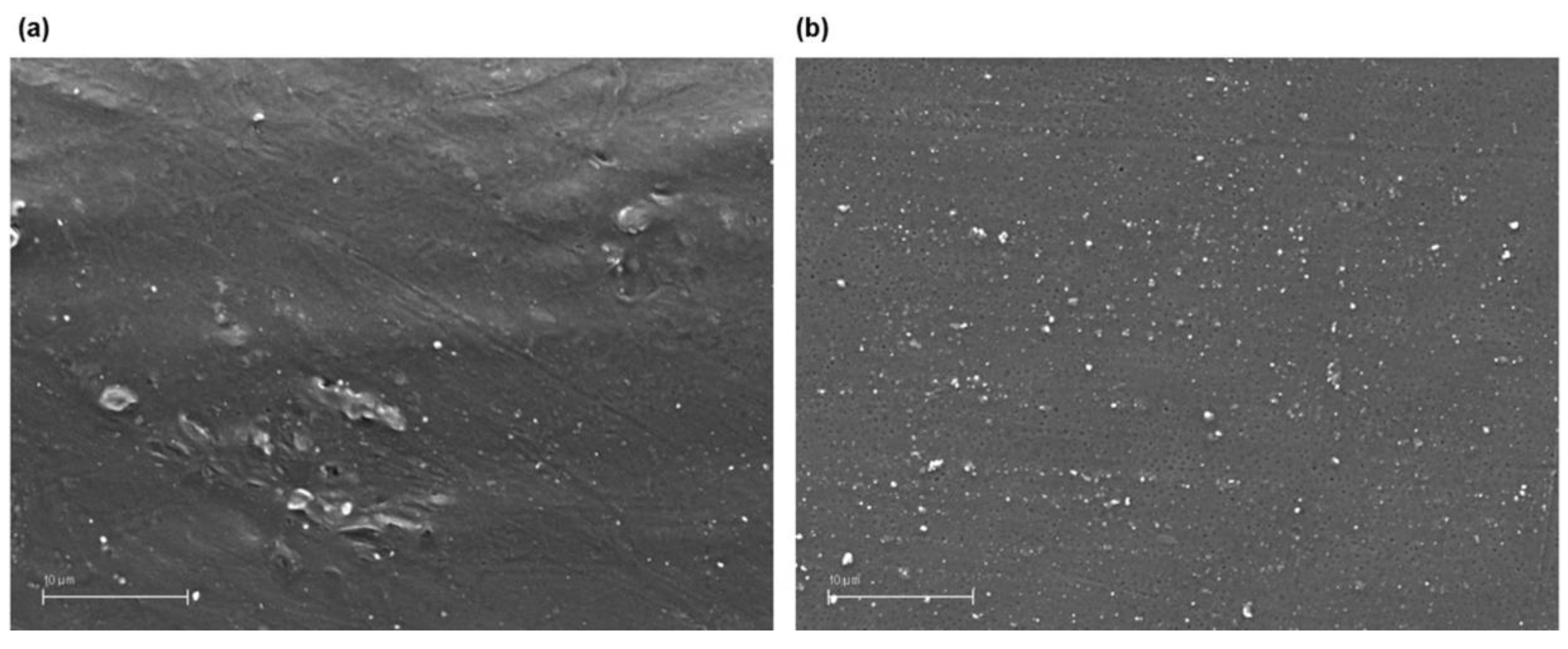 Materials 13 02724 g007