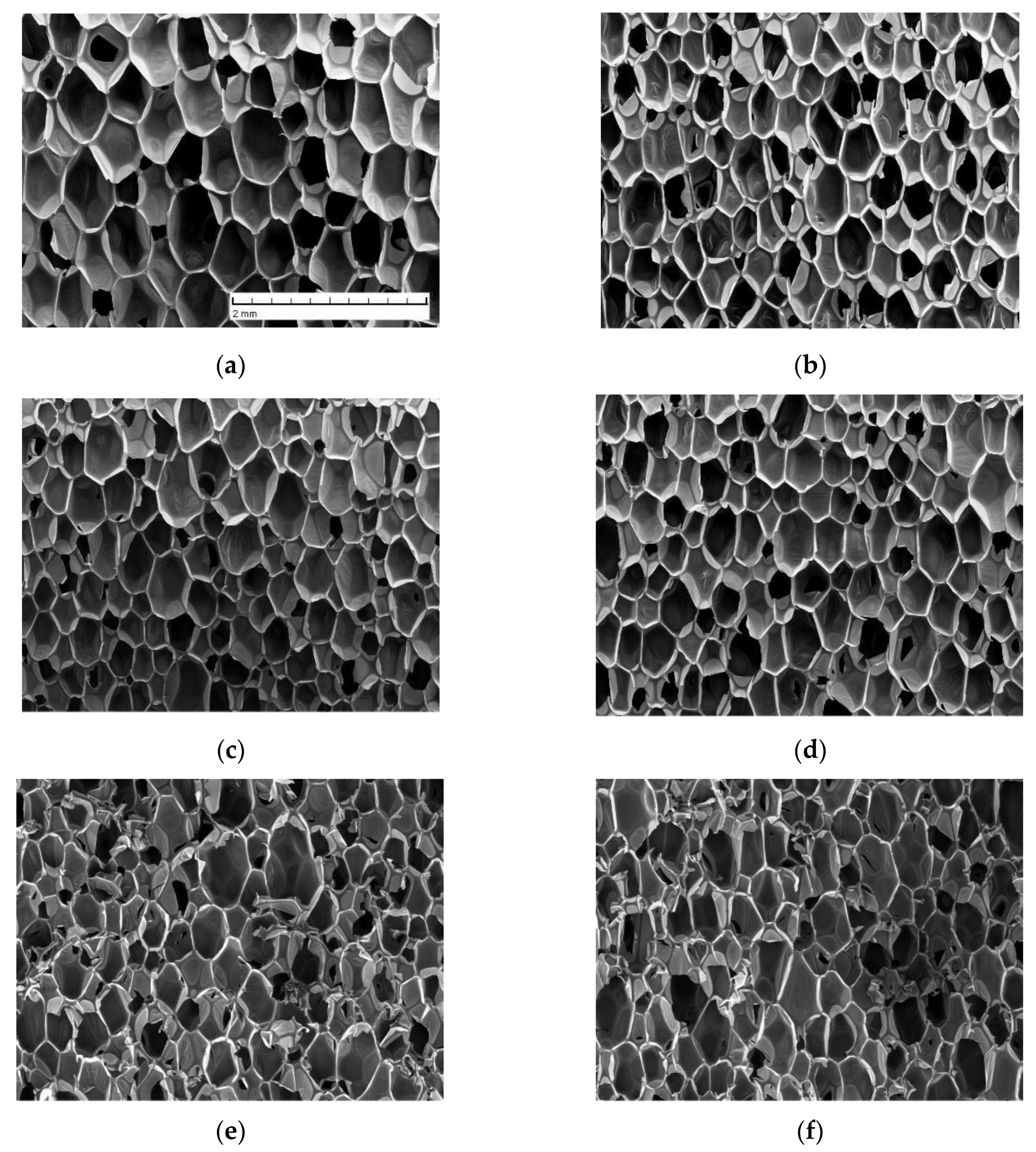 Materials 13 02725 g001
