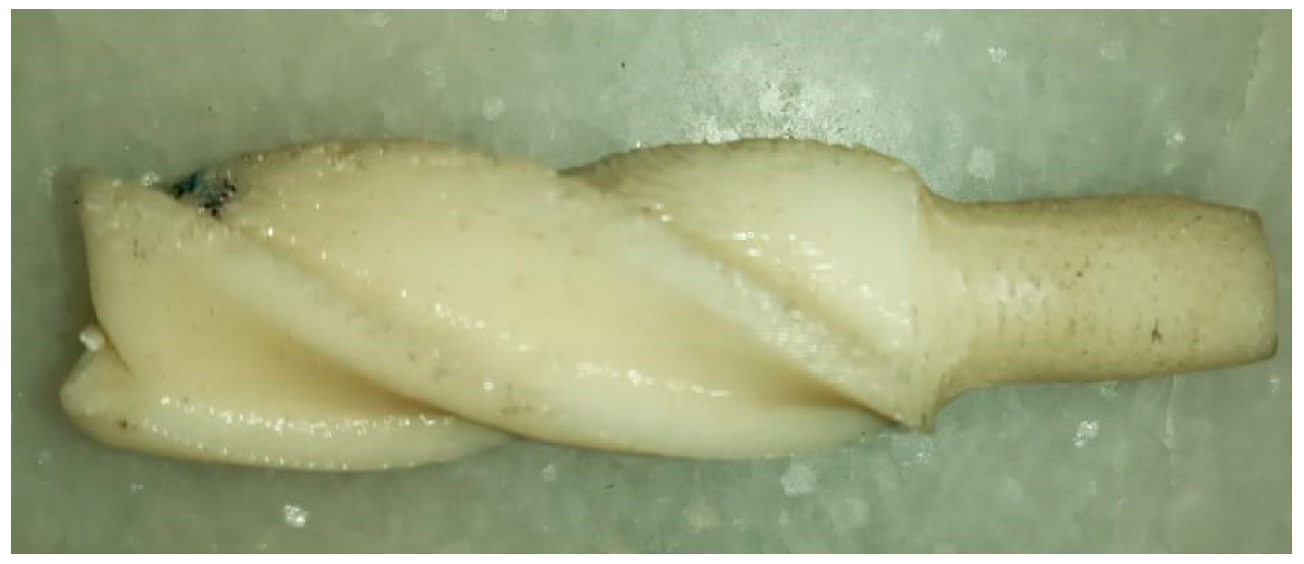 Materials 13 02729 g001