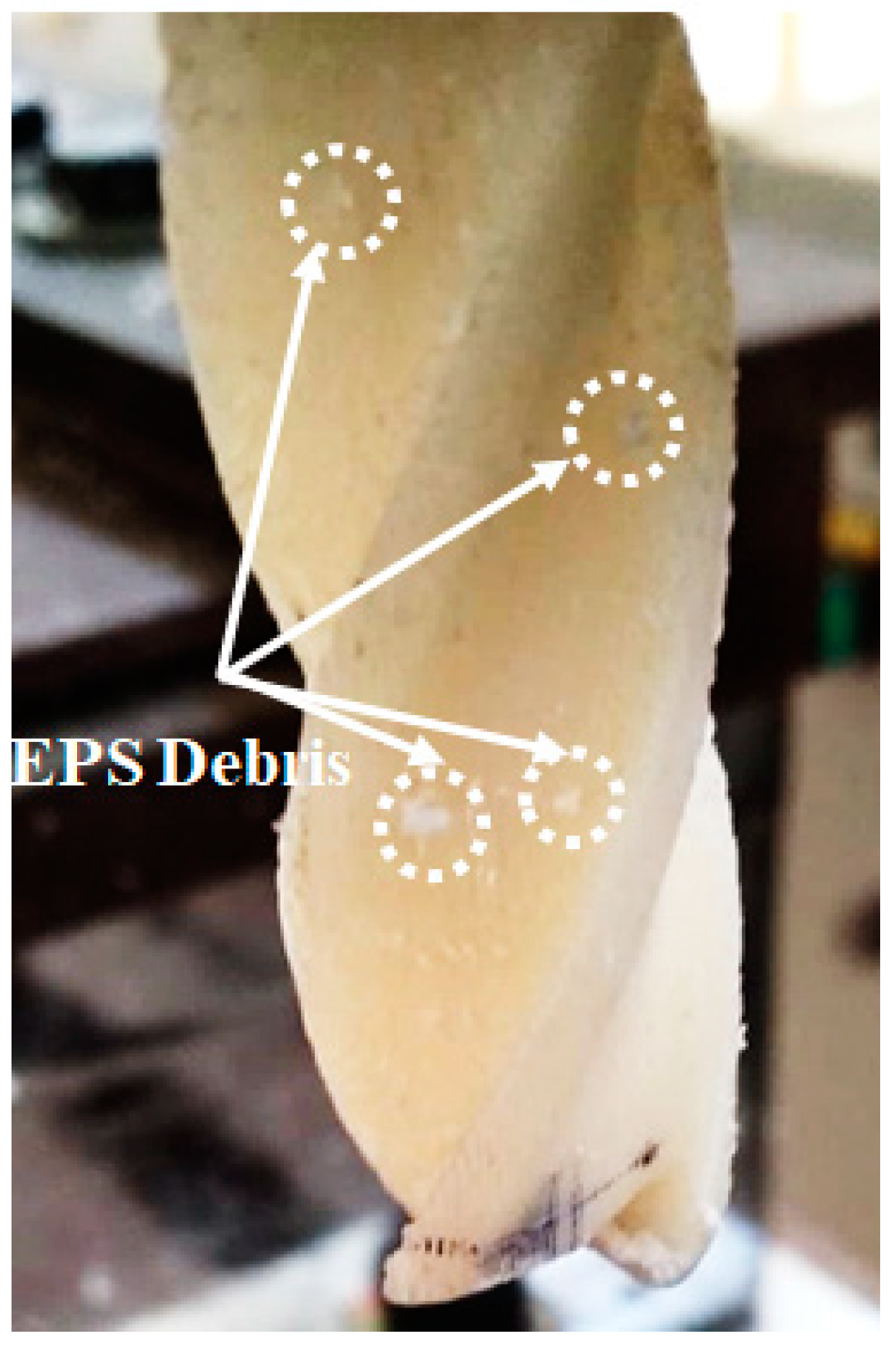 Materials 13 02729 g007