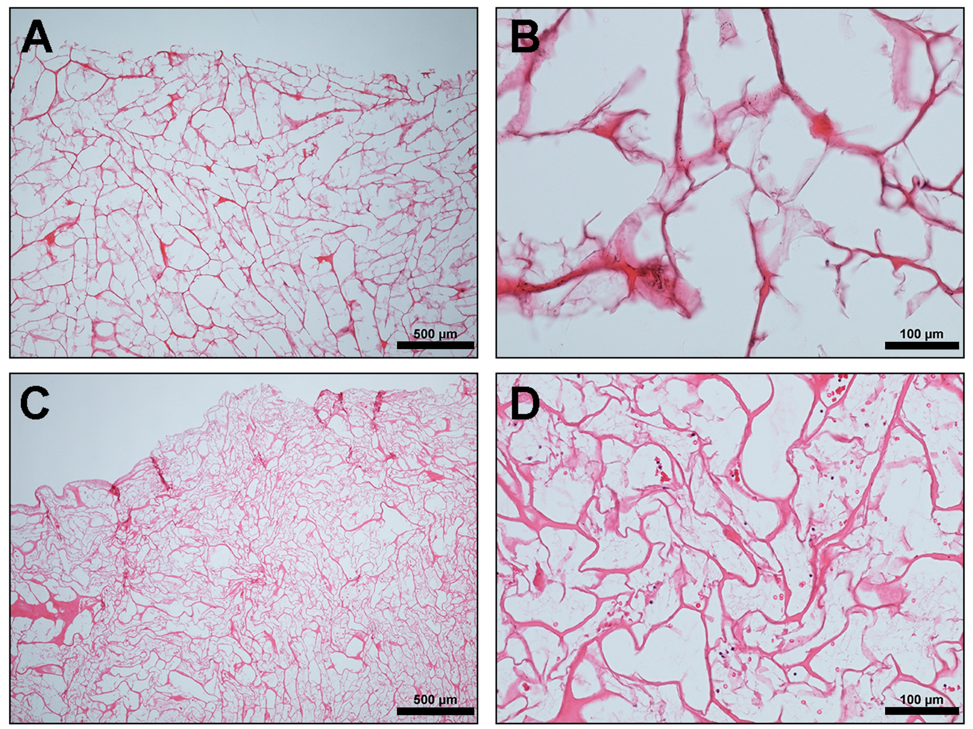 Materials 13 02730 g001 Materials 13 02730 g001