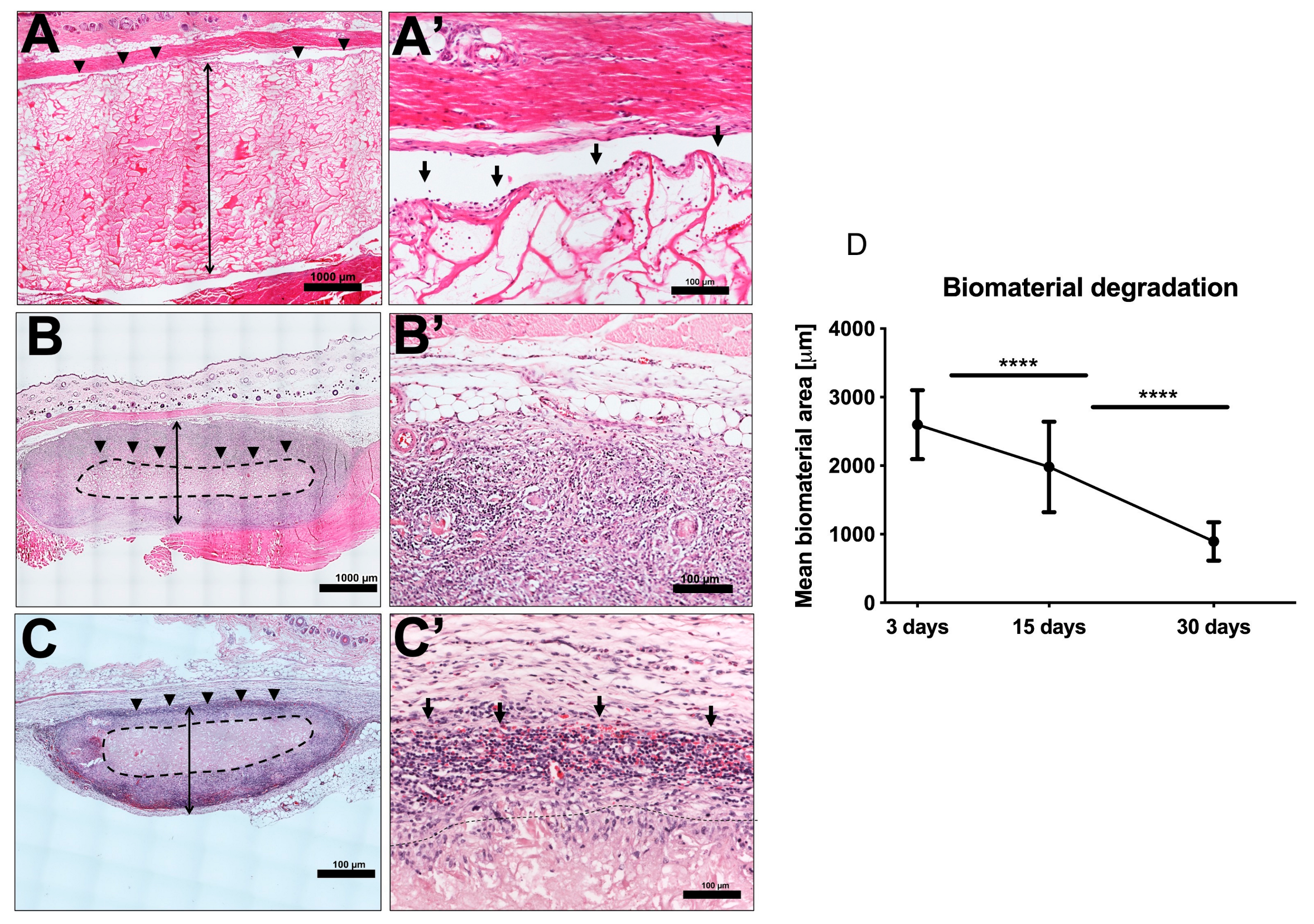 Materials 13 02730 g002 Materials 13 02730 g002