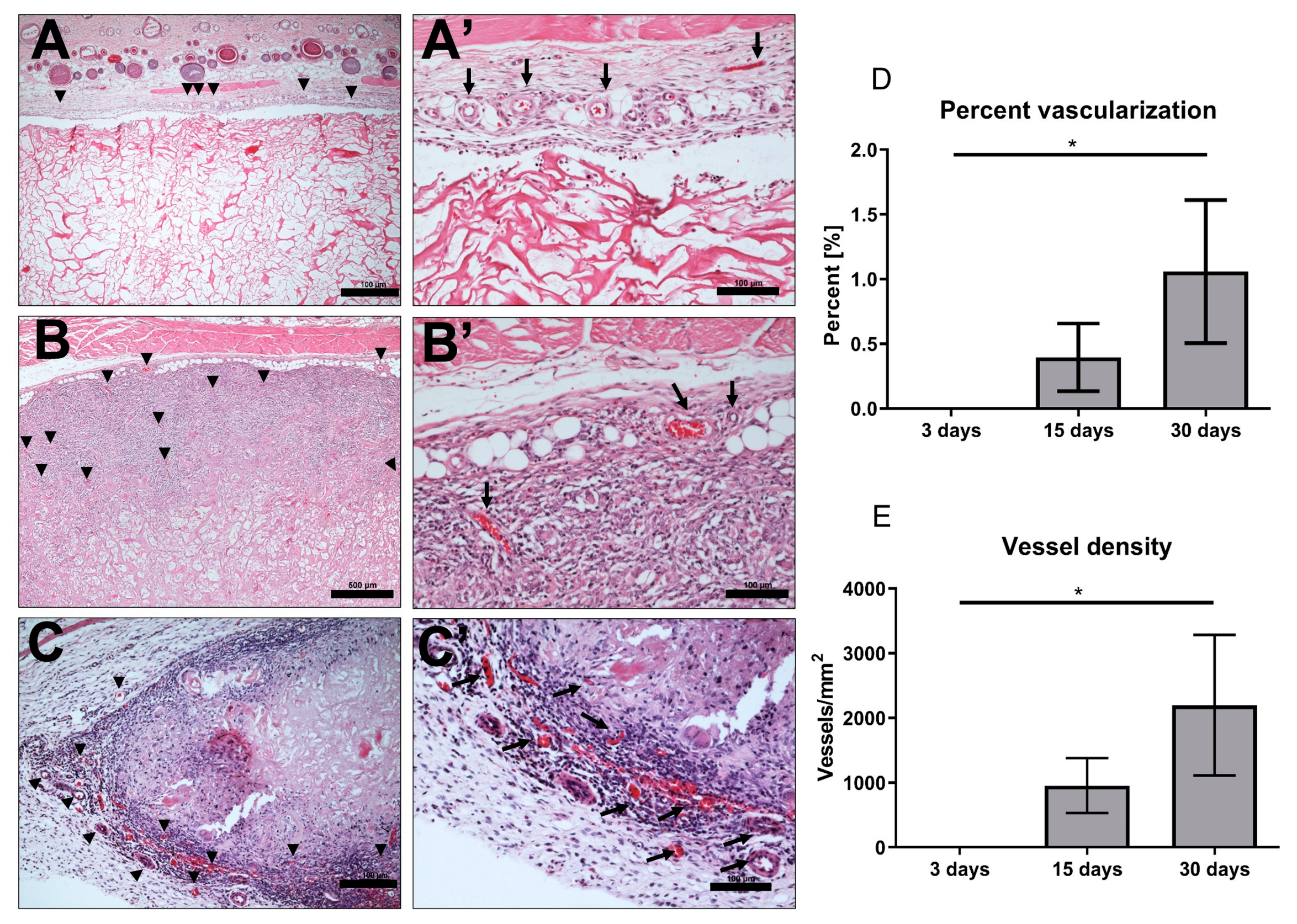 Materials 13 02730 g003 Materials 13 02730 g003