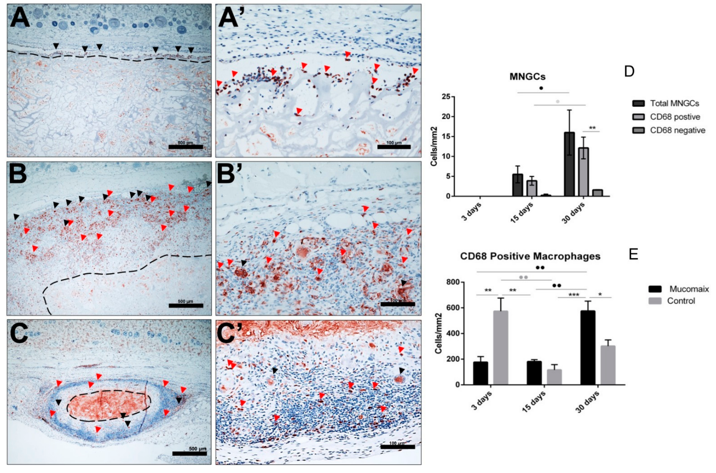 Materials 13 02730 g005 Materials 13 02730 g005