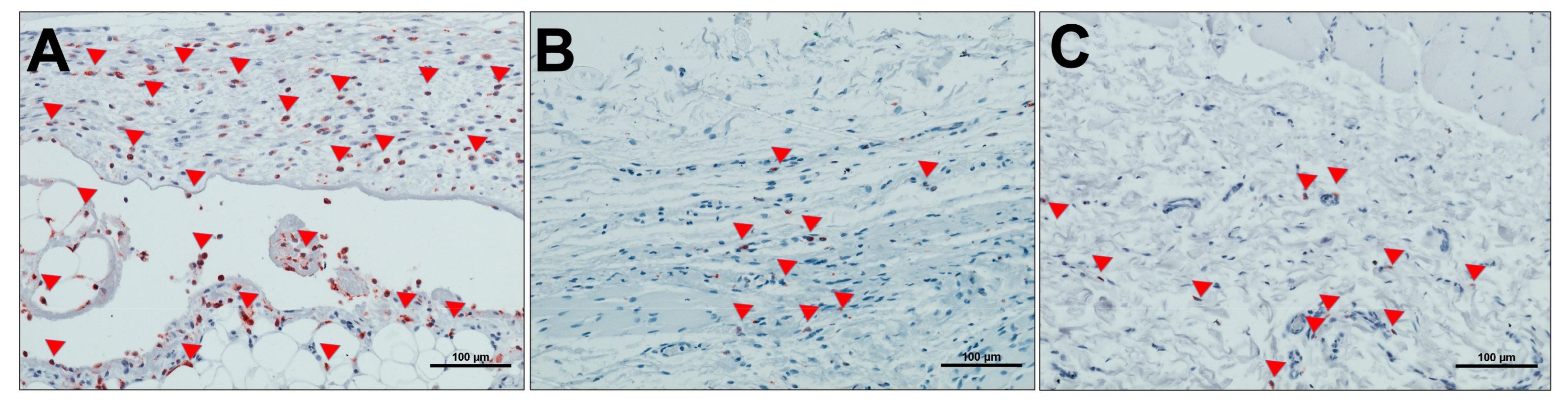 Materials 13 02730 g006 Materials 13 02730 g006