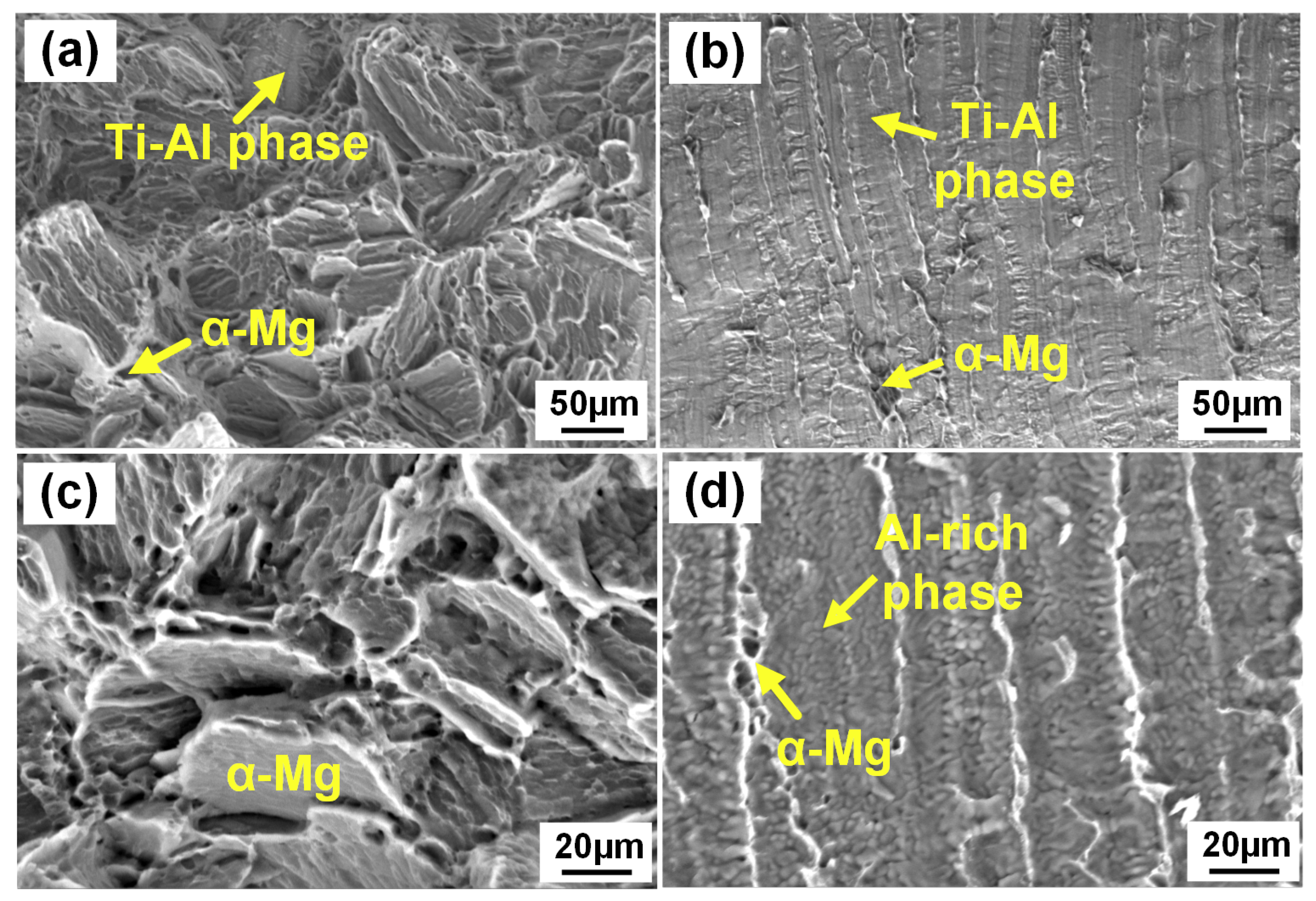 Materials 13 02743 g013 Materials 13 02743 g013